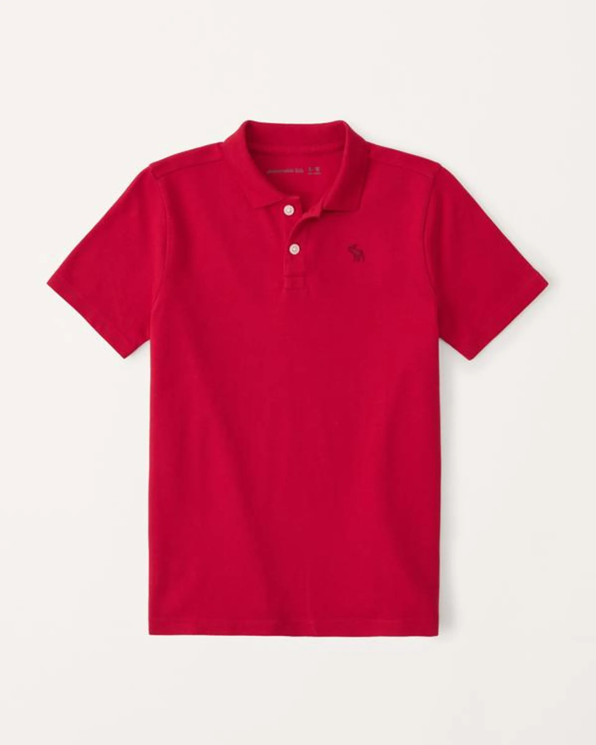 icon polo