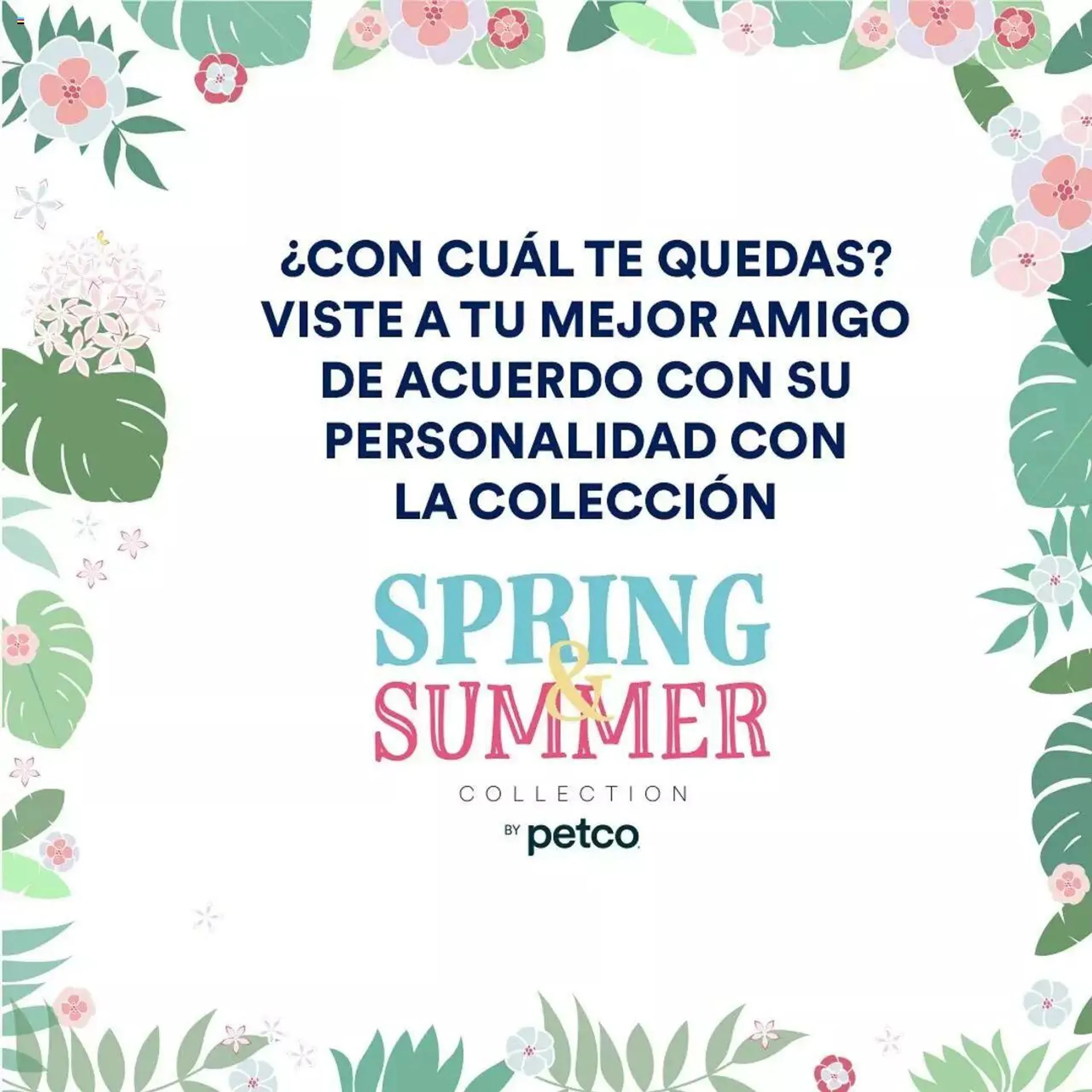 Catálogo de PetCo catálogo 6 de mayo al 31 de diciembre 2024 - Pagina 5