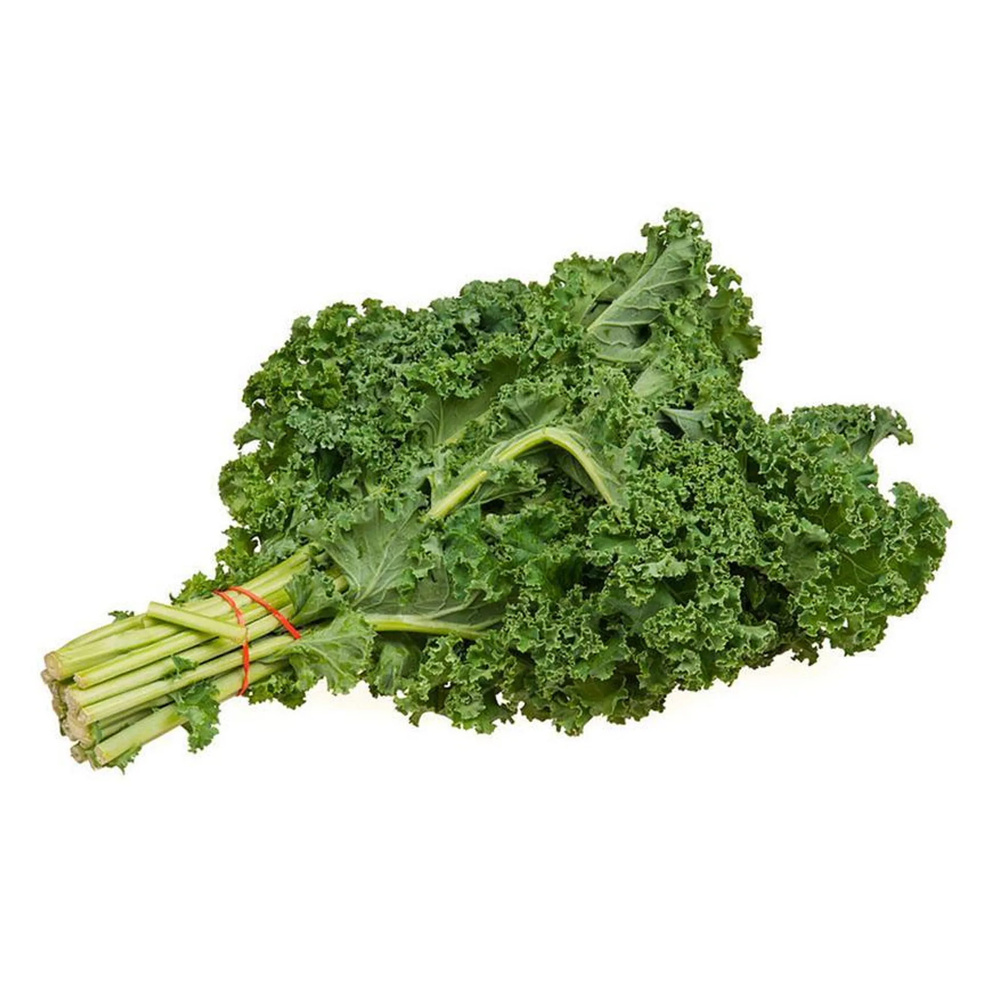 KALE MANOJO 1 PZ