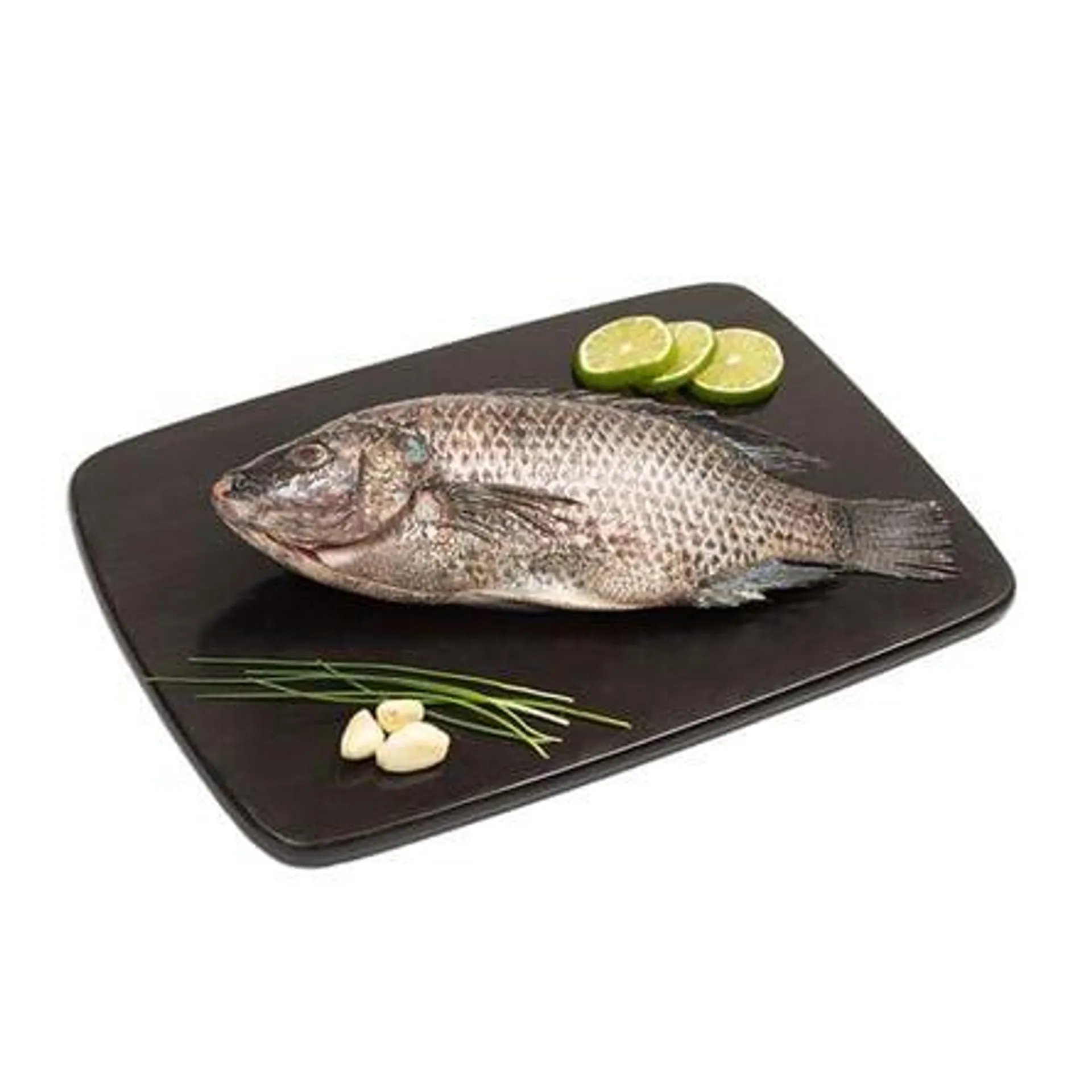 Mojarra Tilapia Sustentable Kg