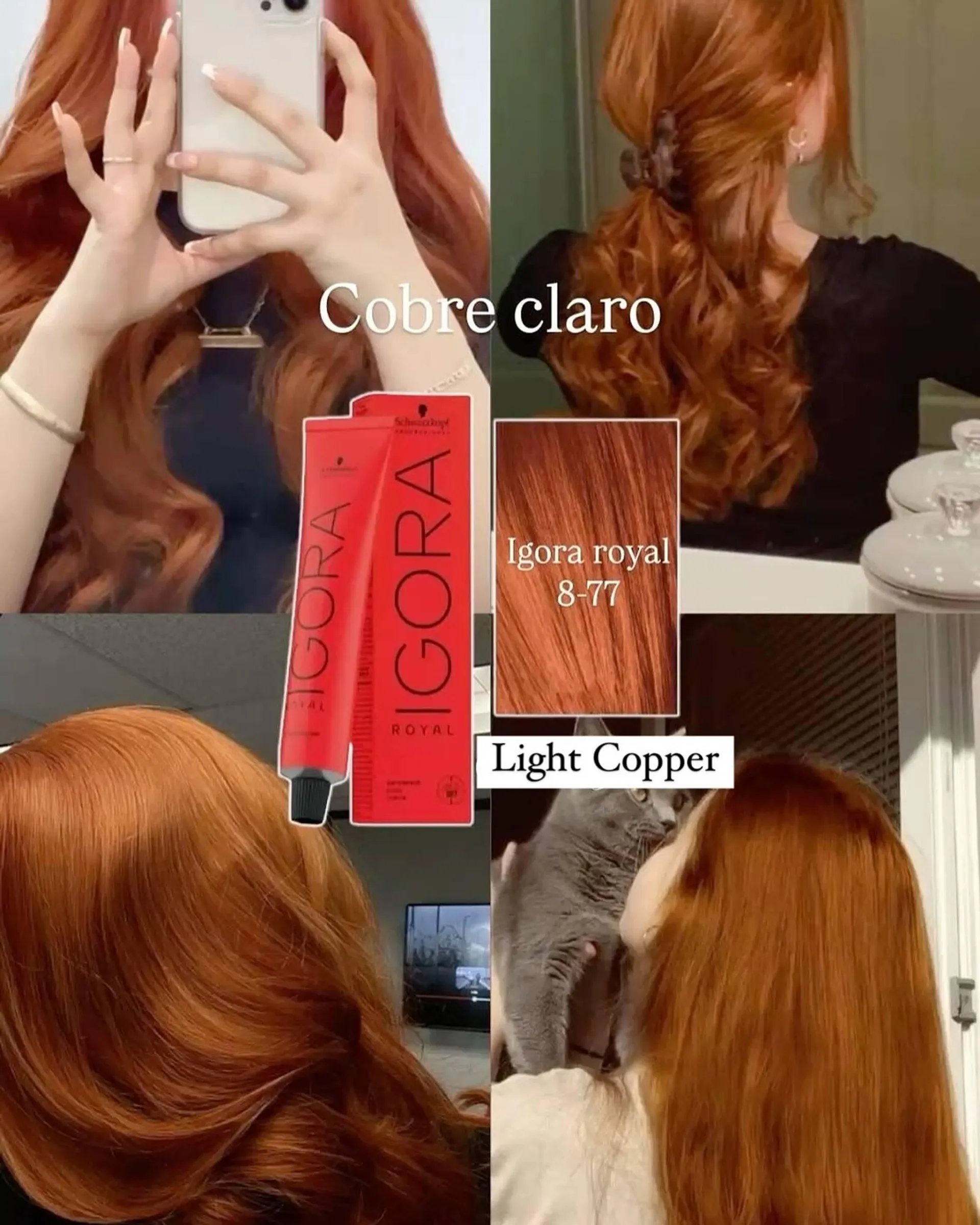 Catálogo de Catálogo Sally Beauty 9 de junio al 9 de junio 2025 - Pagina 2