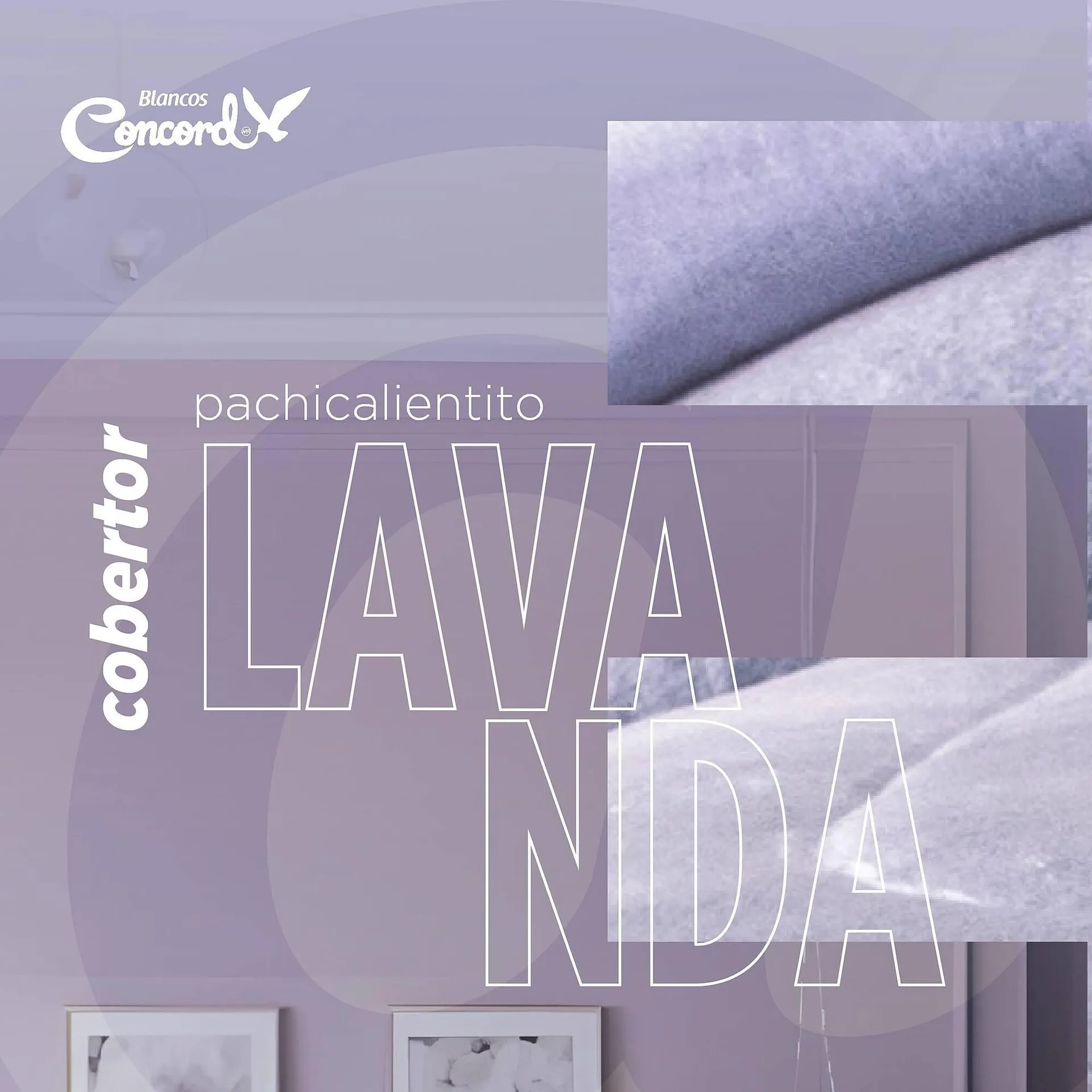 Catálogo de Catálogo Colchas Concord 28 de junio al 28 de junio 2025 - Pagina 1