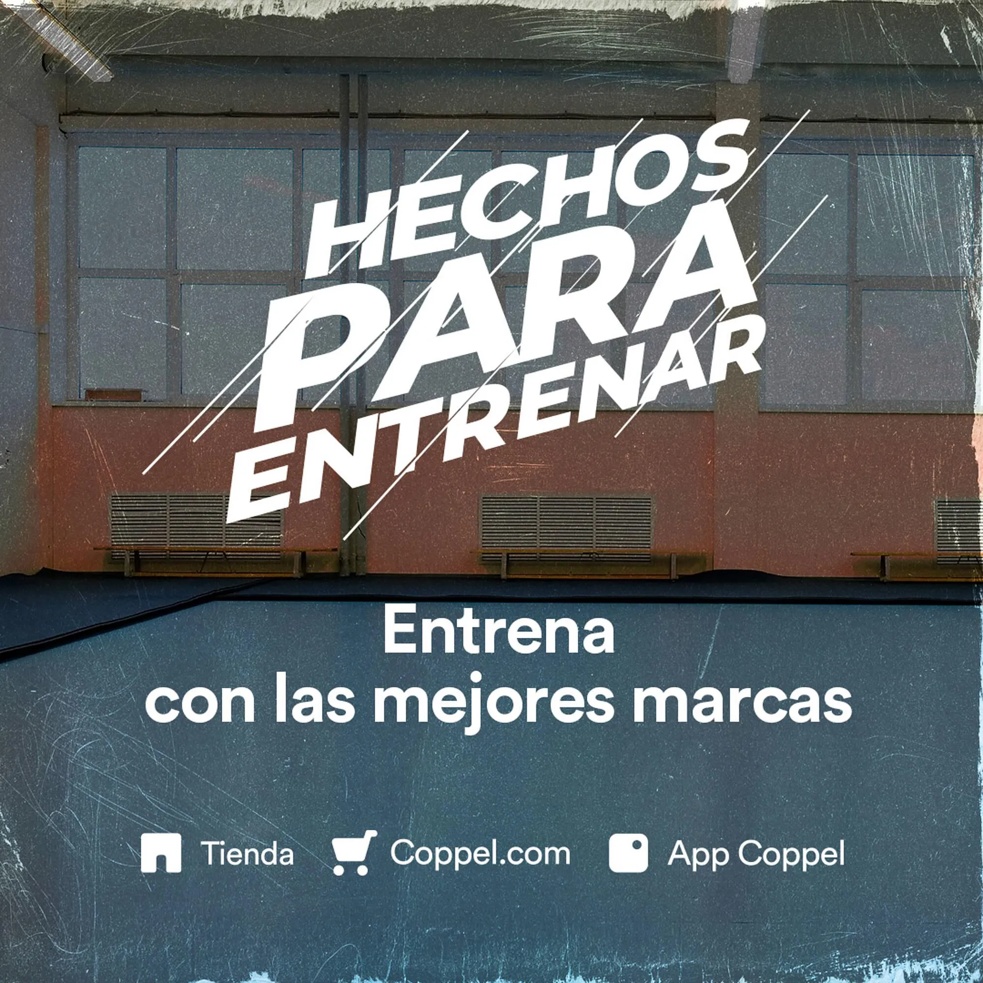Catálogo Coppel - 1