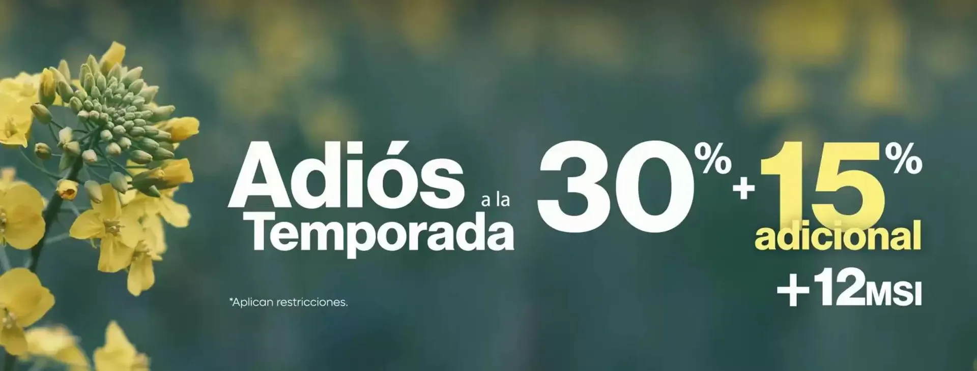 Promociones - 1