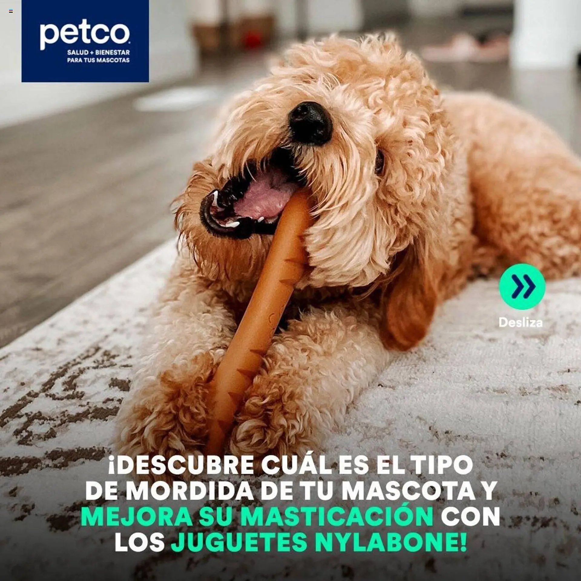 Catálogo Petco - 1