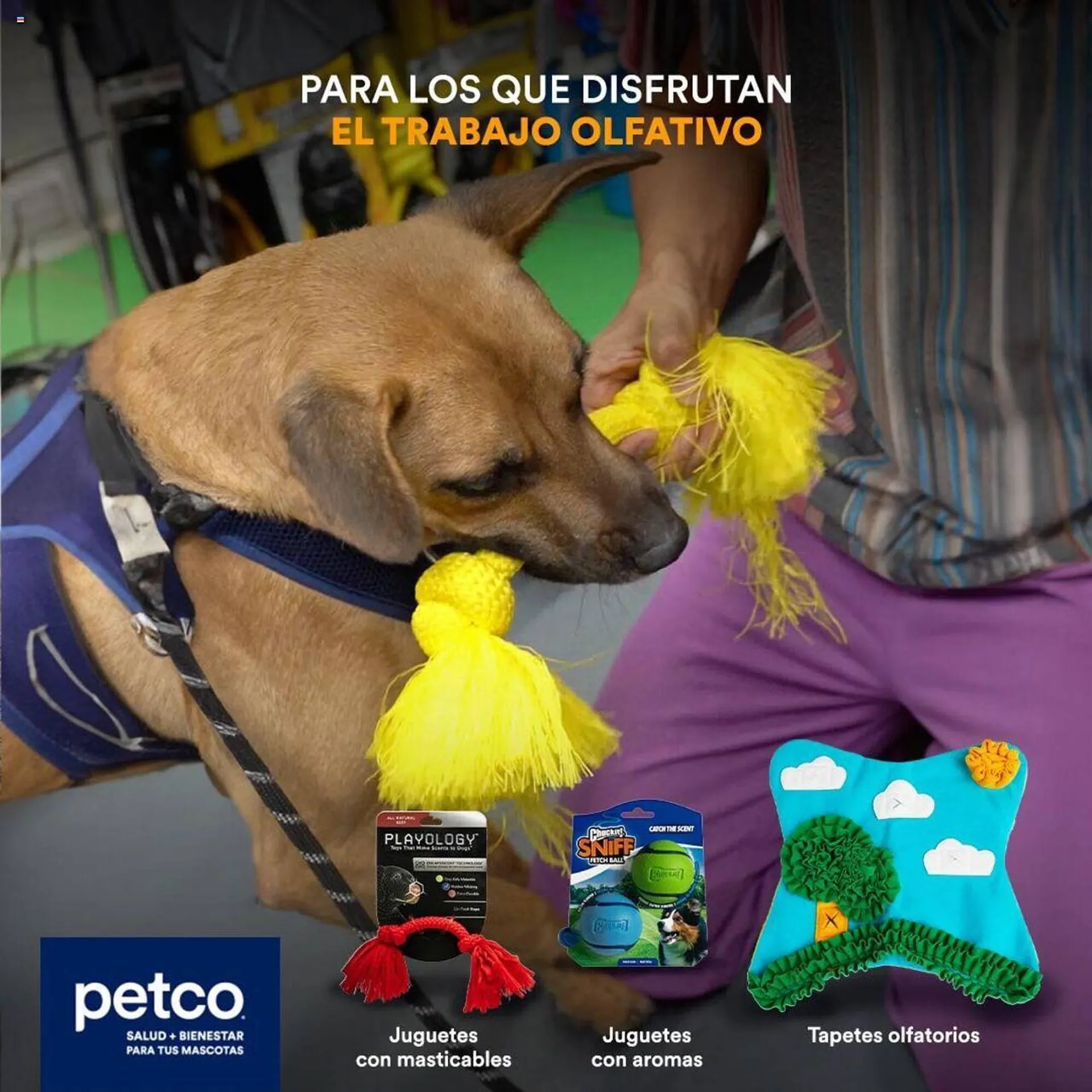 Catálogo Petco - 2