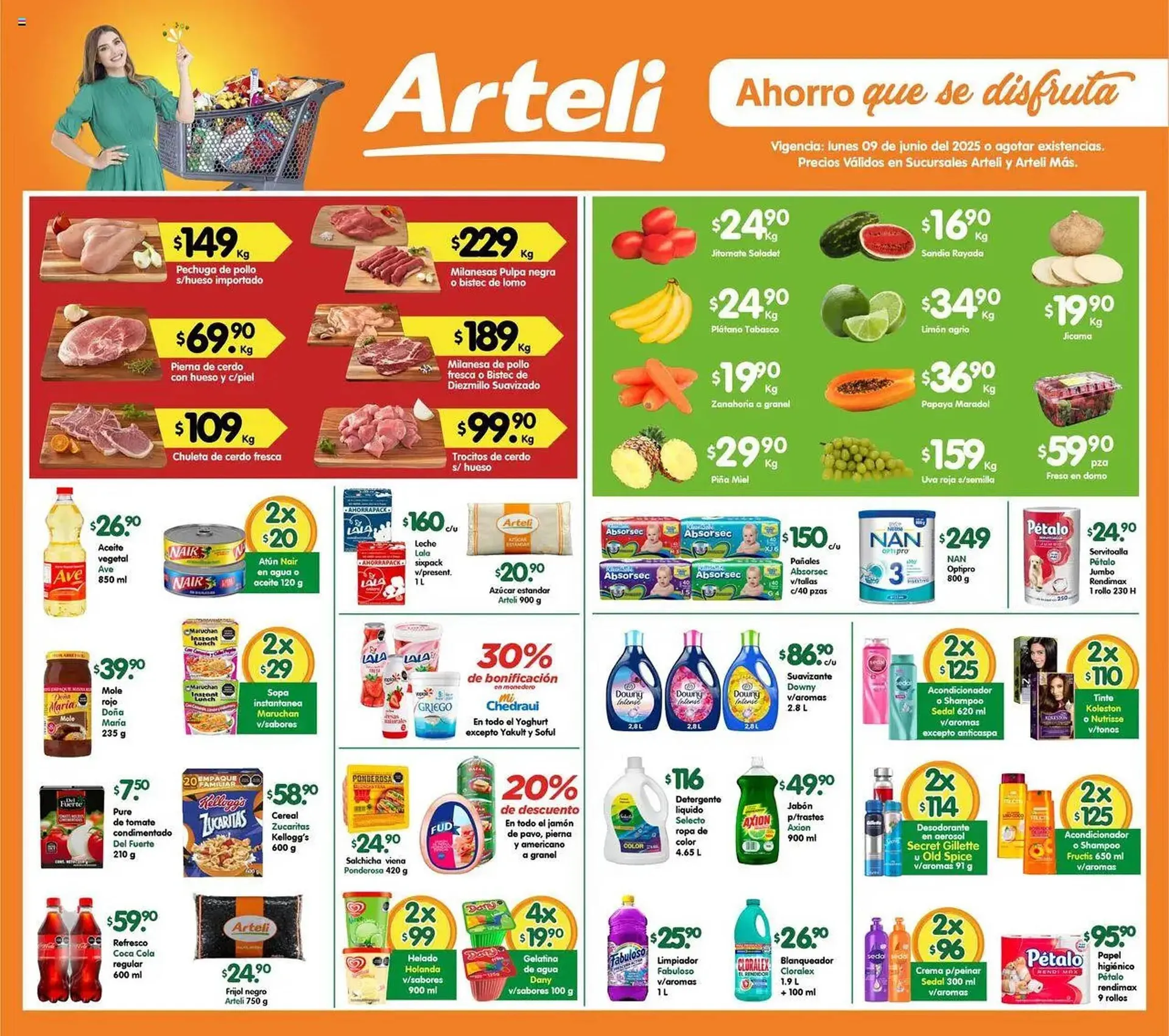 Catálogo Arteli - 1