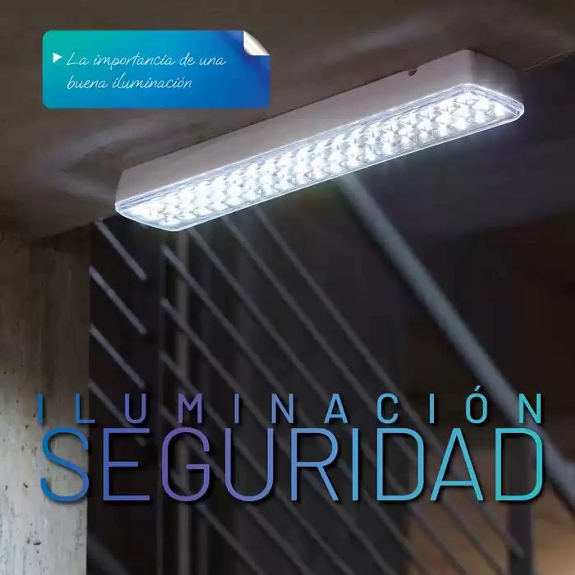 Catálogo Seguridad 2024 - 1