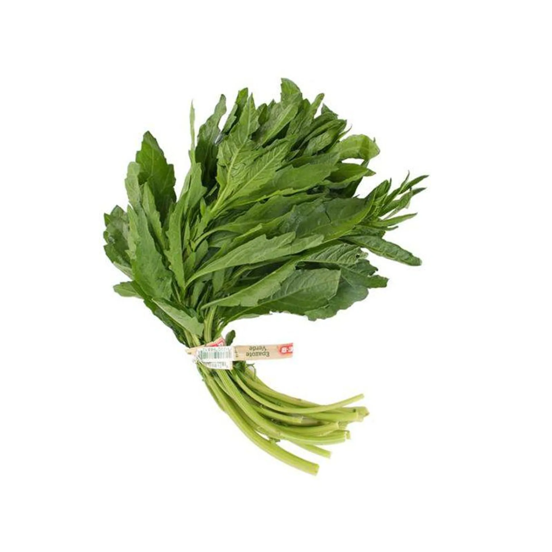 Epazote Verde 1 pz