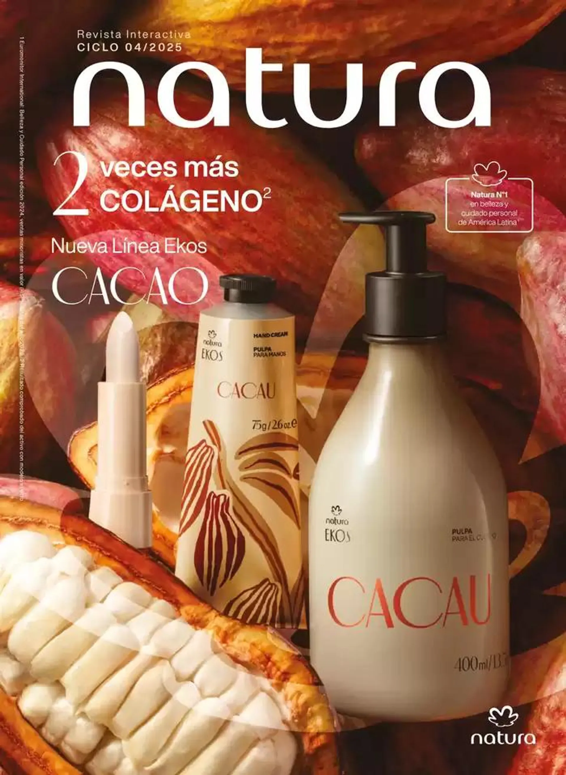 Ciclo 04 1 - 1
