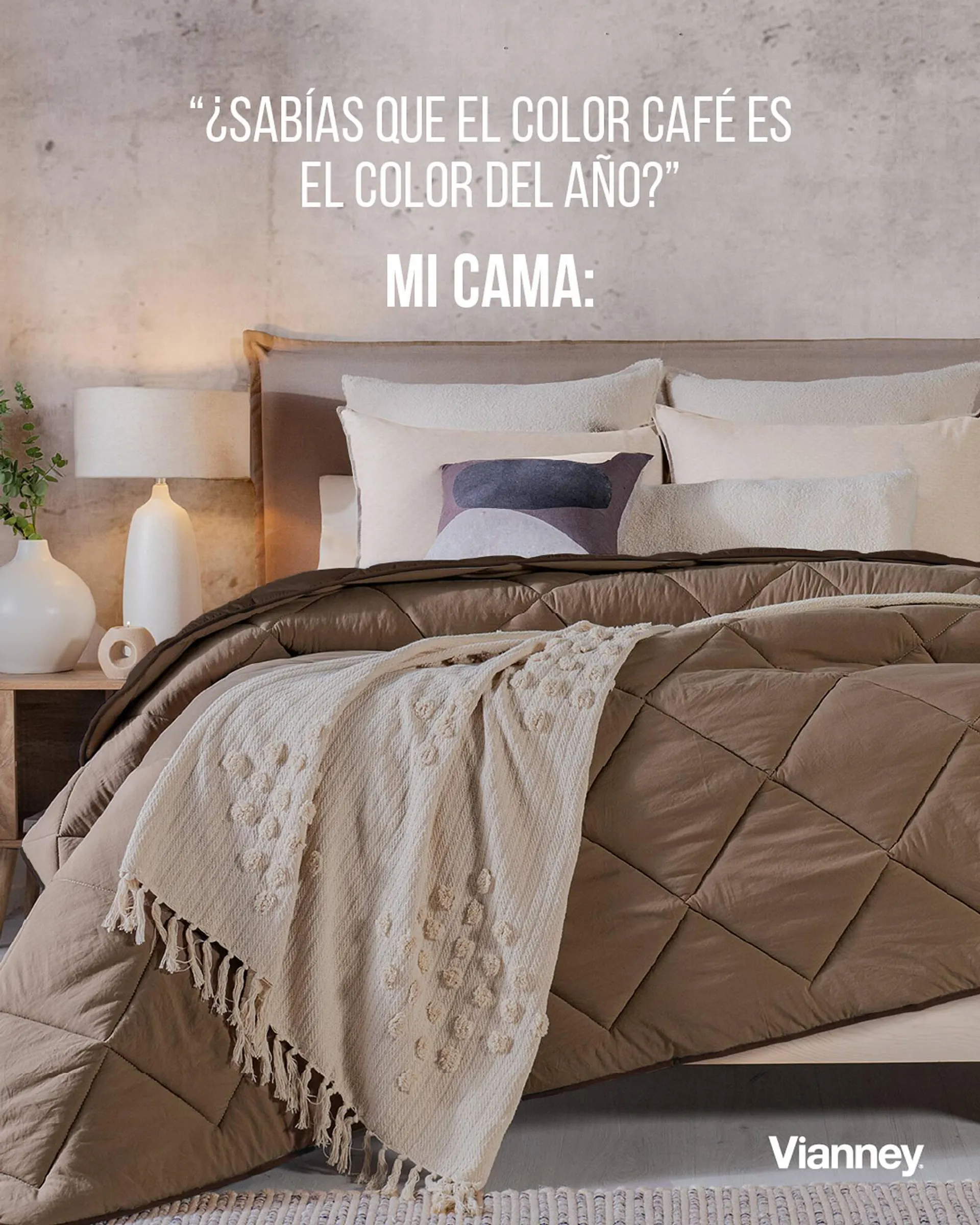 Catálogo Vianney - 1