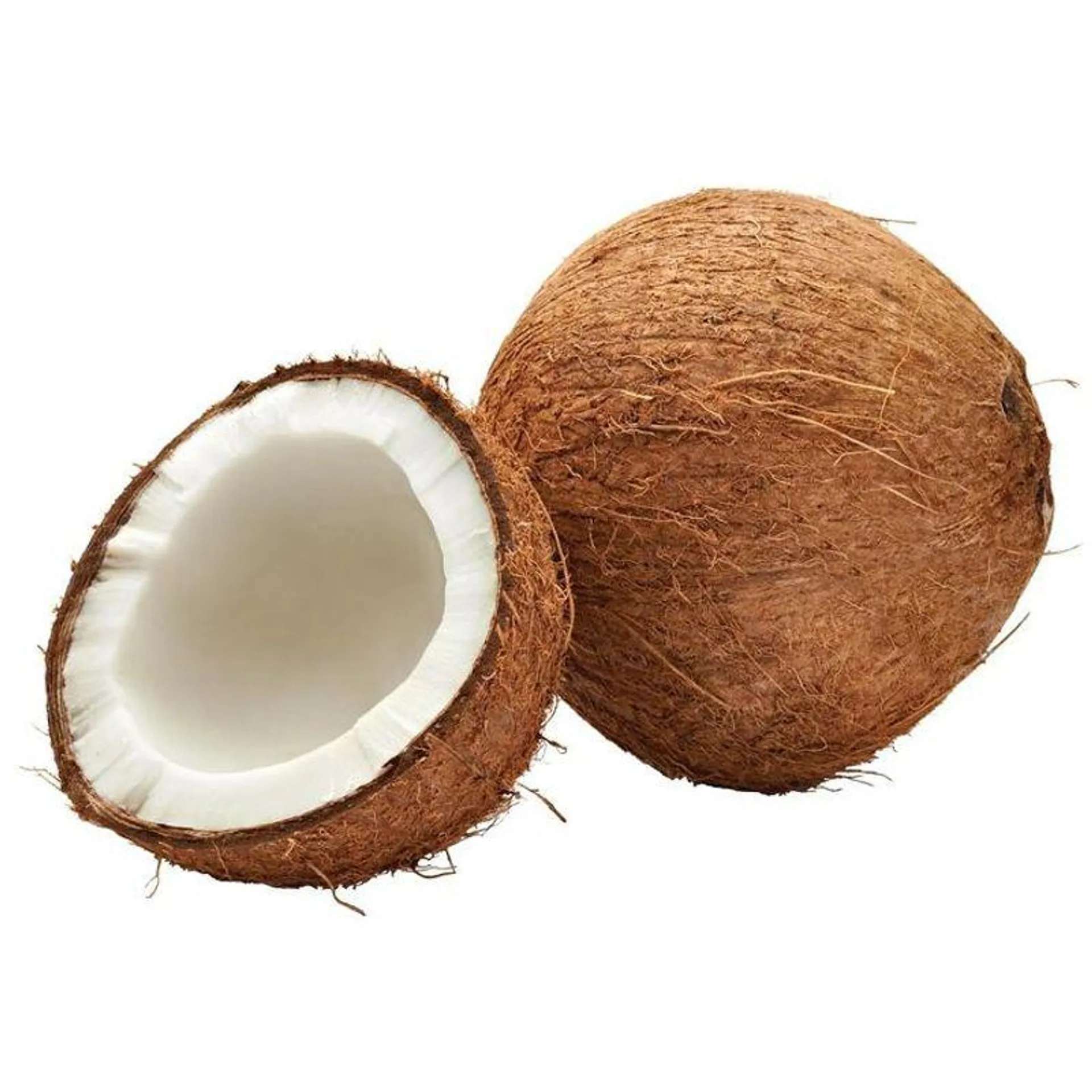 Coco Mt 1 Pz