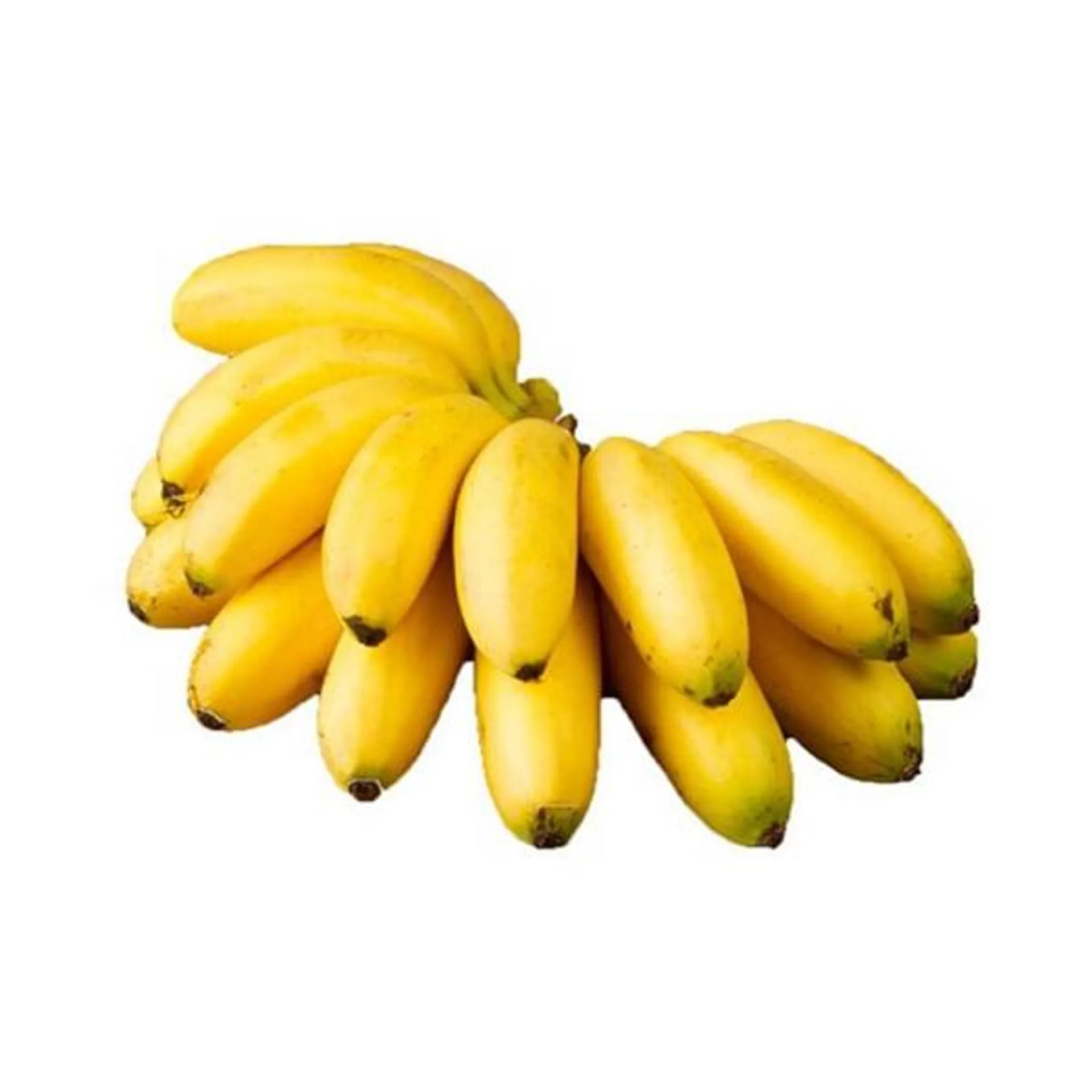 Plátano Dominico 1 kg aproximado - Platano dominico