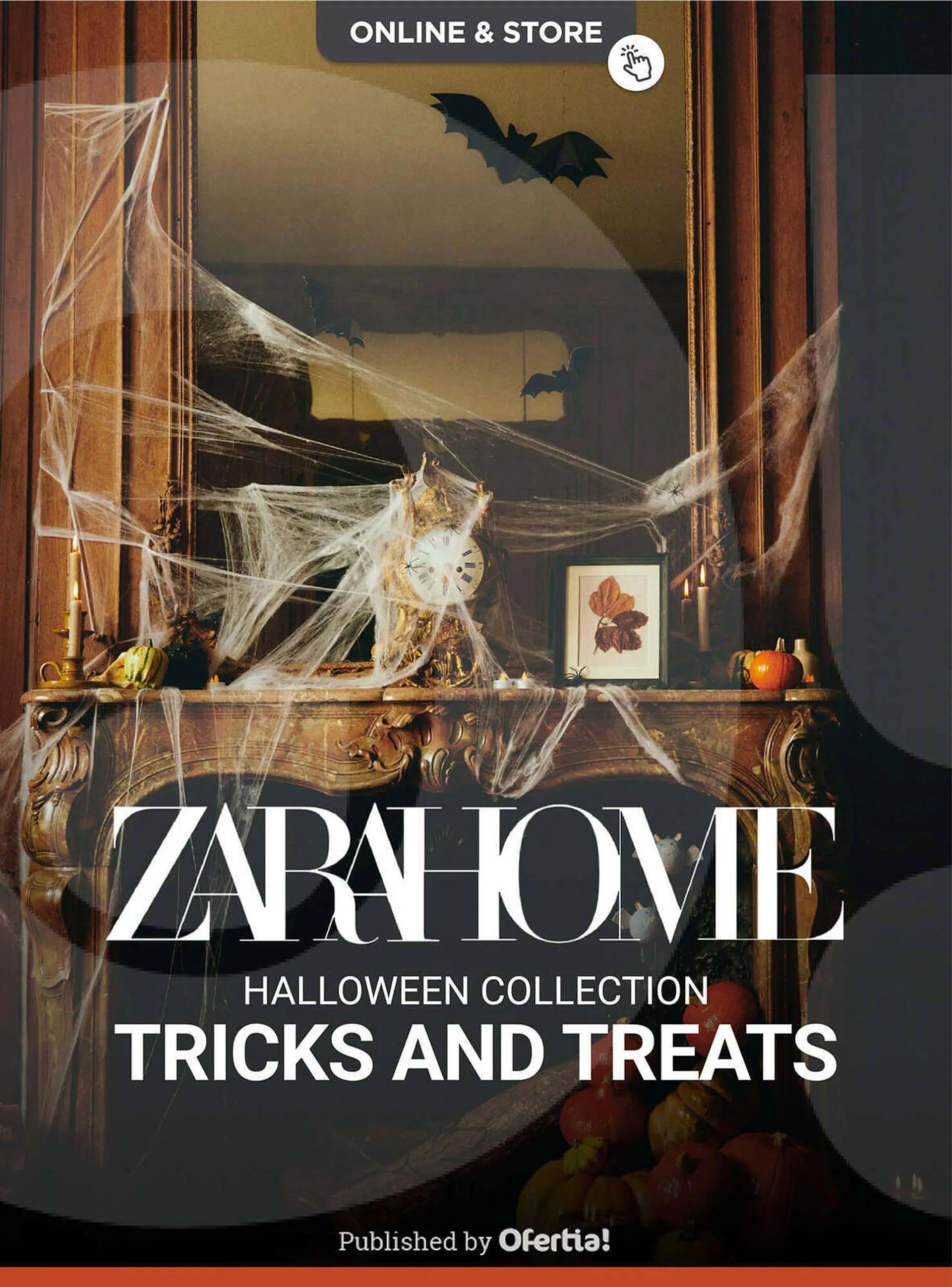 Catálogo ZARA HOME - 1