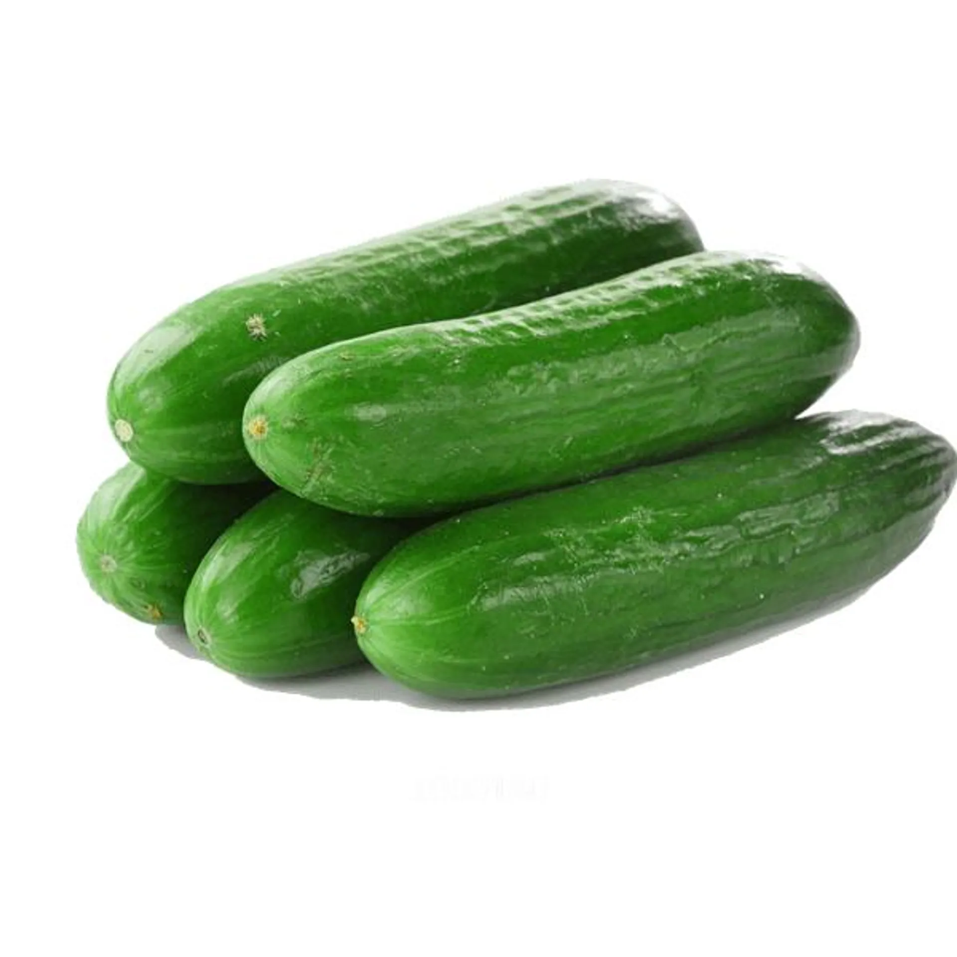 Pepino 1 kg aproximado