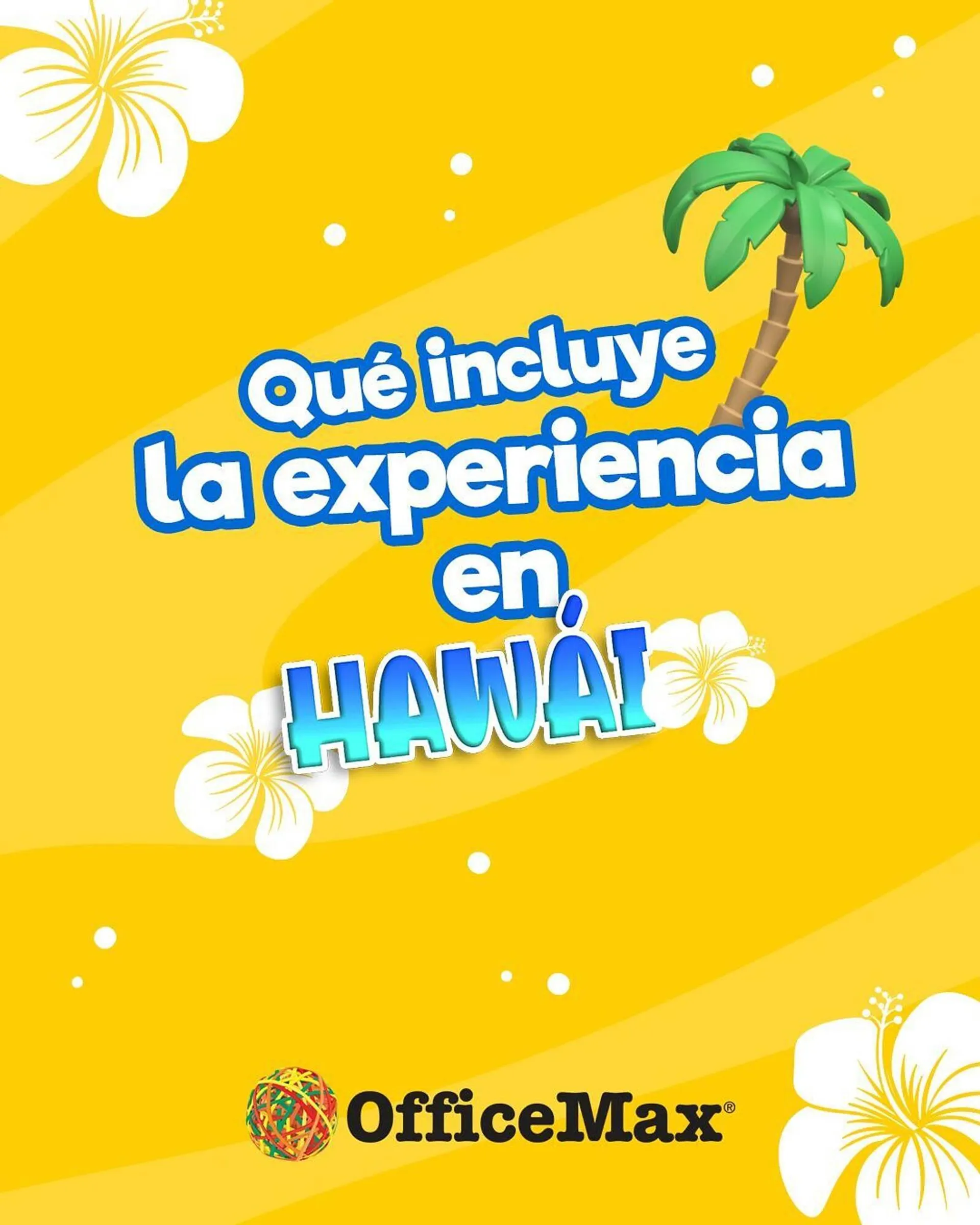 Catálogo OfficeMax - 1
