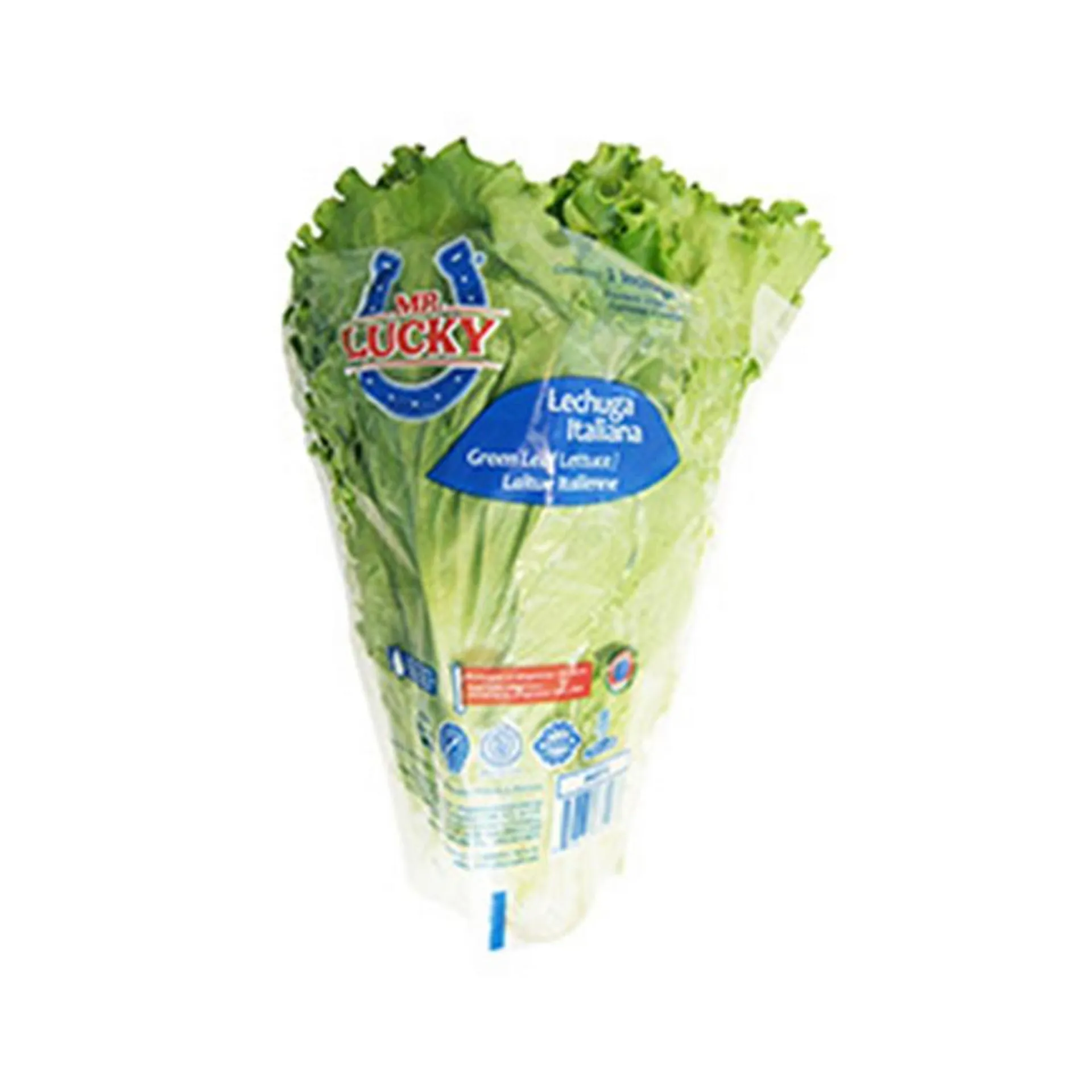 LECHUGA ITALIANA Mr. LUCKY 1 PZ