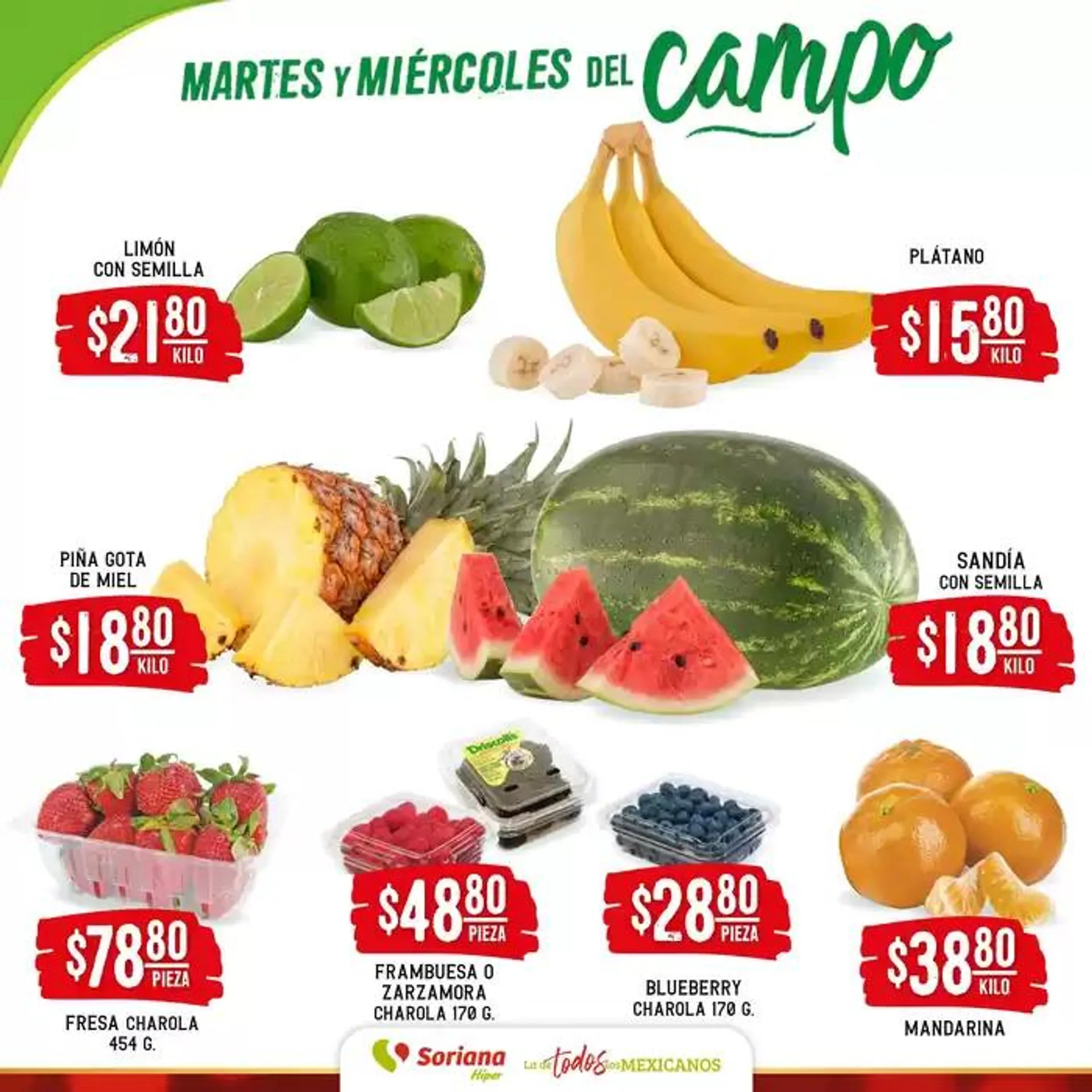Catálogo de Martes y Miércoles del Campo Híper  24 de diciembre al 26 de diciembre 2024 - Pagina 2