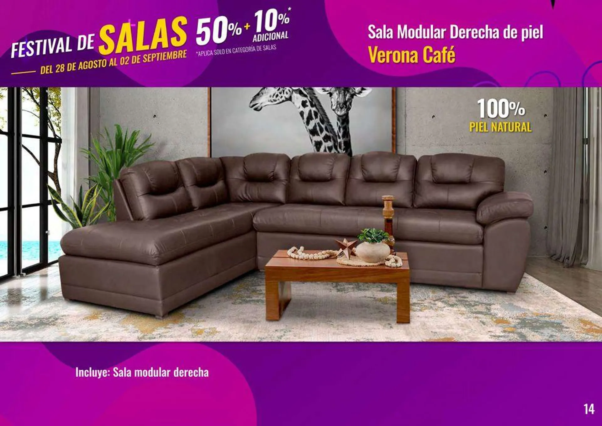 Muebles Dico Festival De Salas 2024 - 14