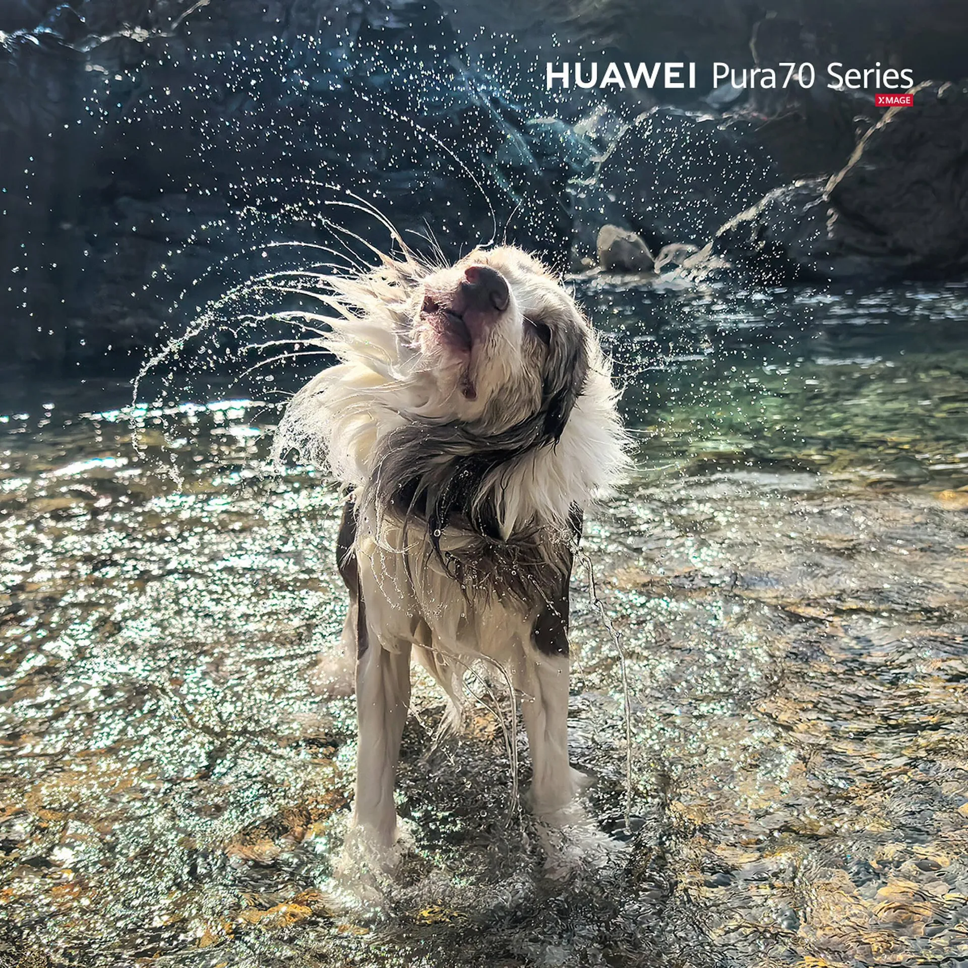 Catálogo de Catálogo Huawei 11 de agosto al 18 de agosto 2024 - Pagina 3