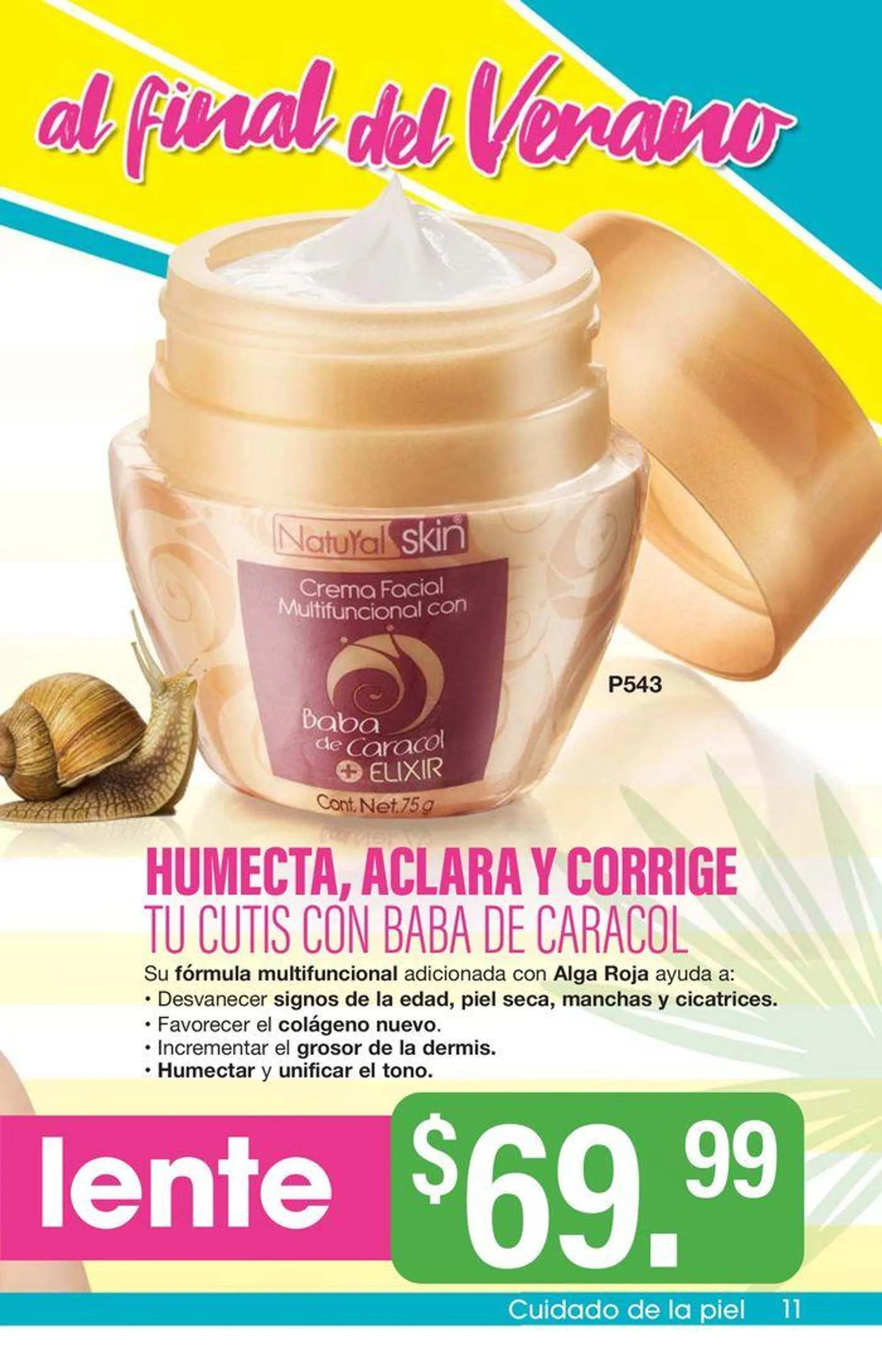 Arabela Campaña 17 - 11