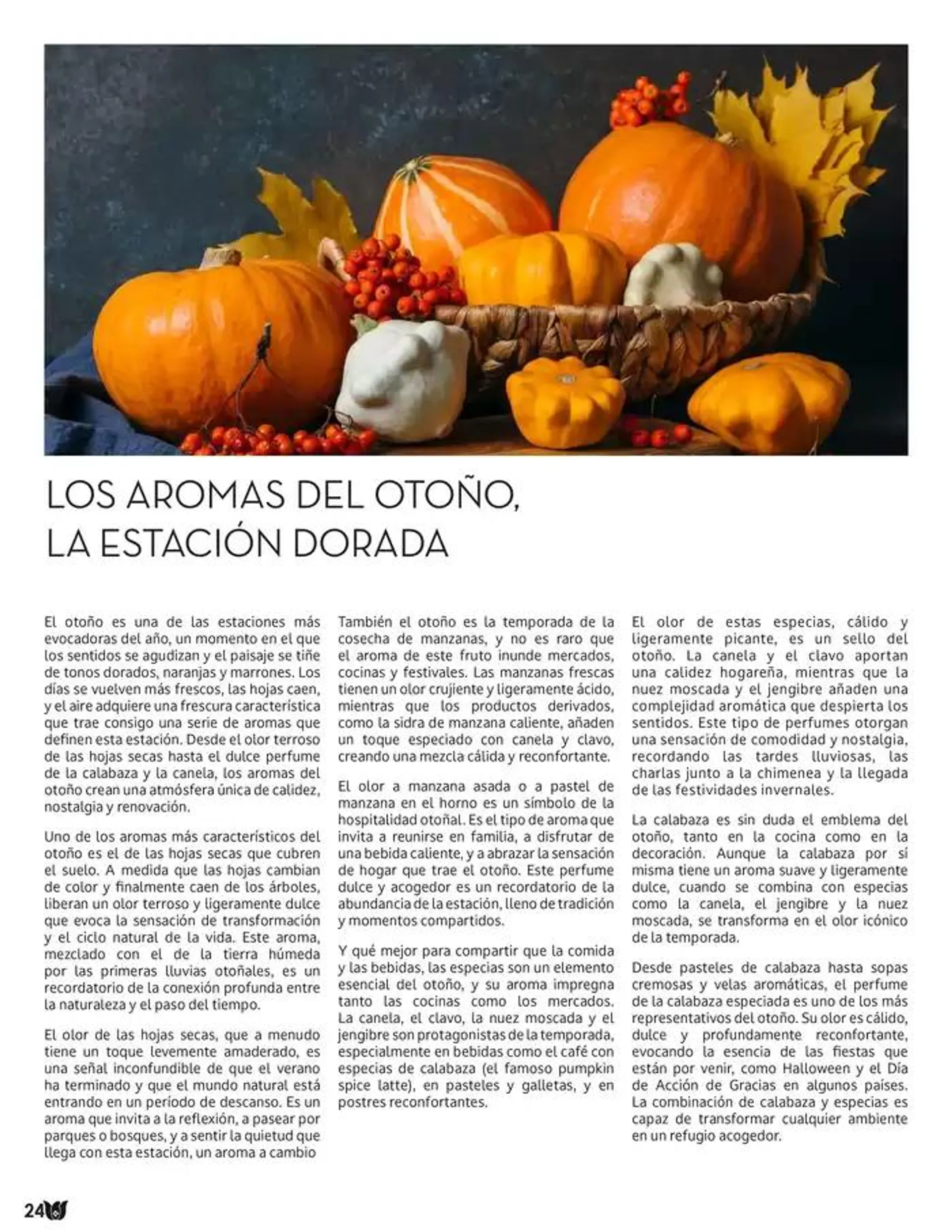 Catálogo de Fraiche Magazine 26 de noviembre al 2 de diciembre 2024 - Pagina 26