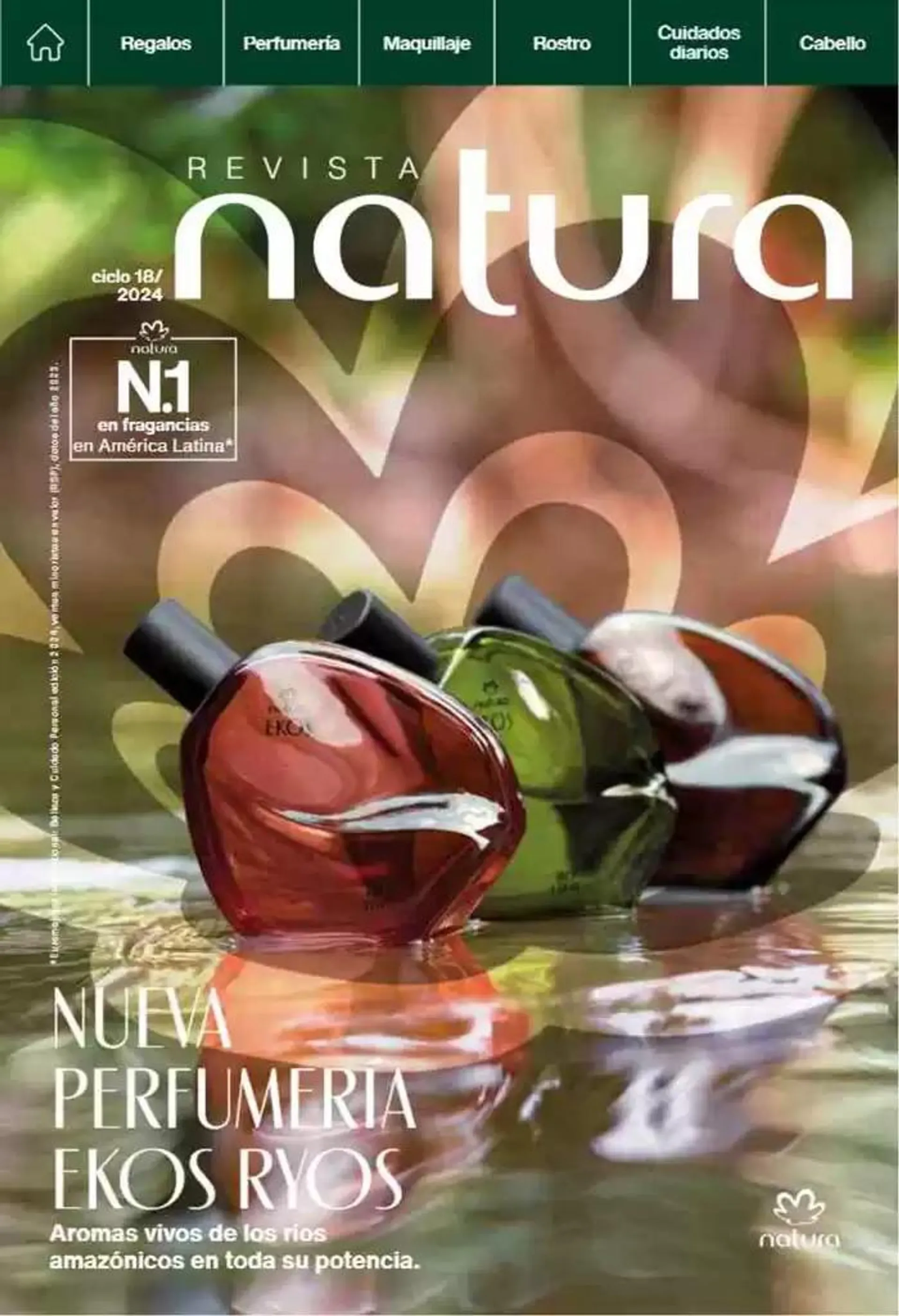 Revista Natura Ciclo 18 2024 - 1