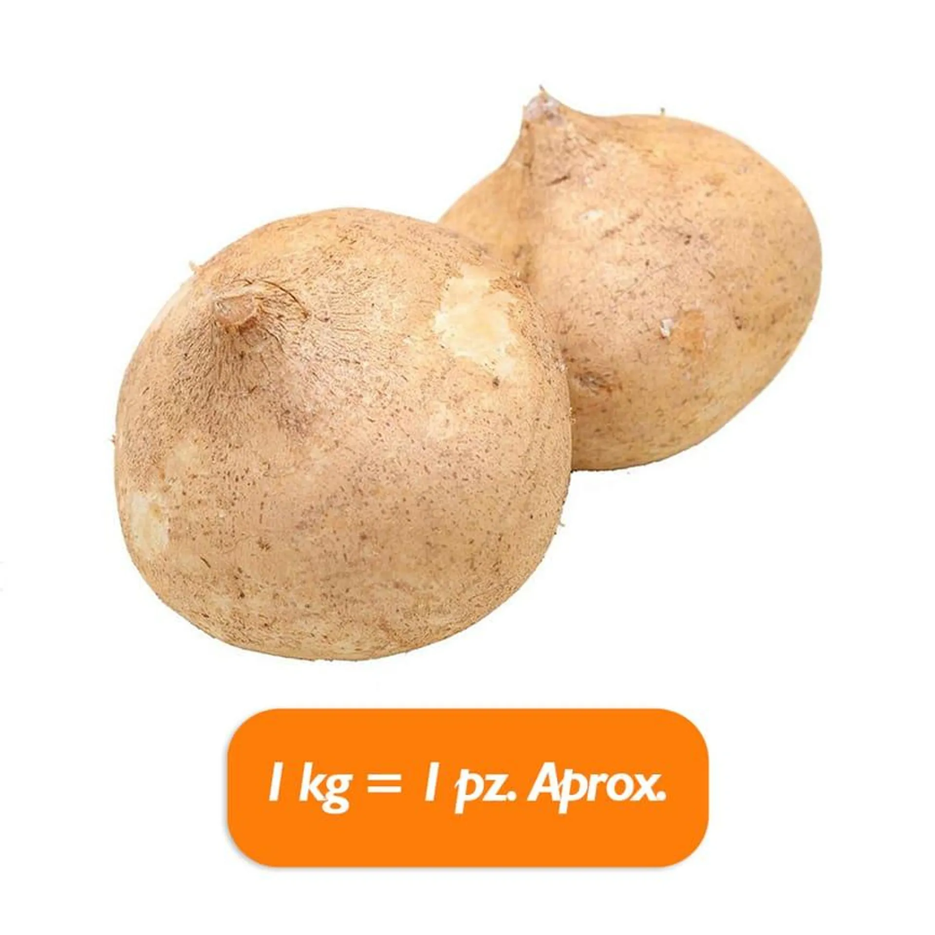 JICAMA DE AGUA 1 KG