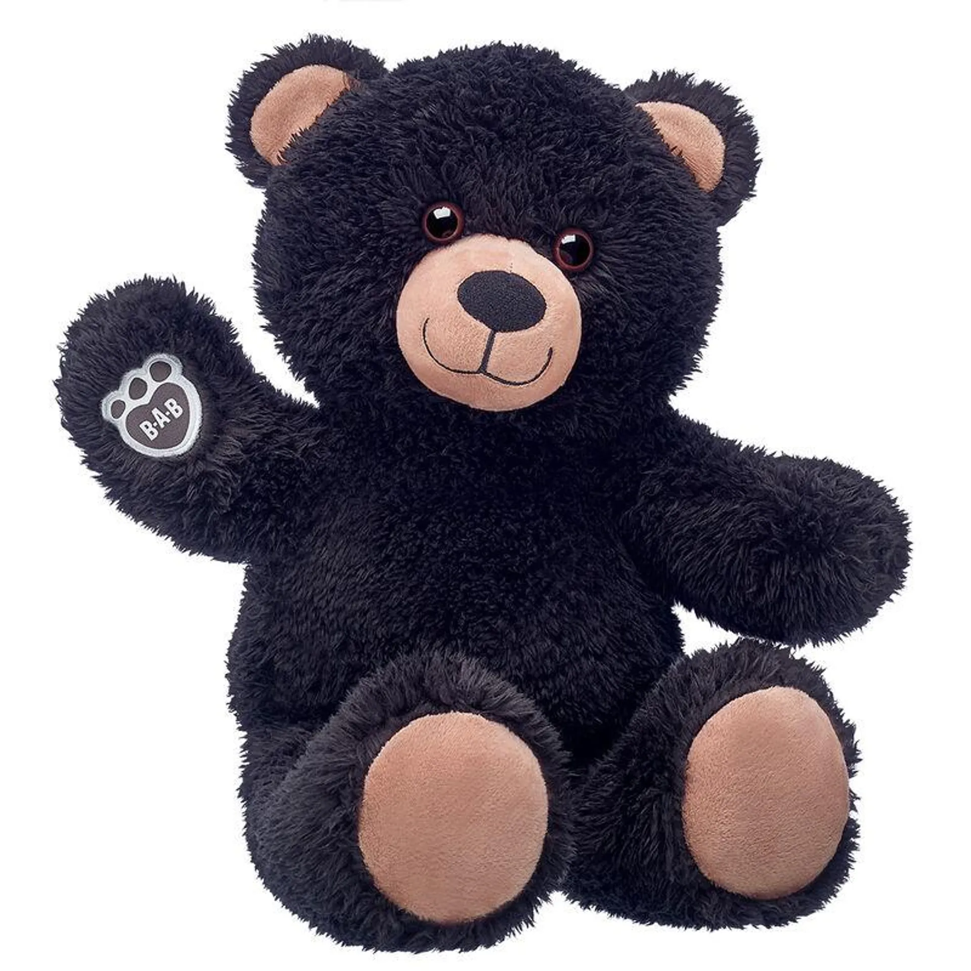 Cuddly Black Teddy Bear