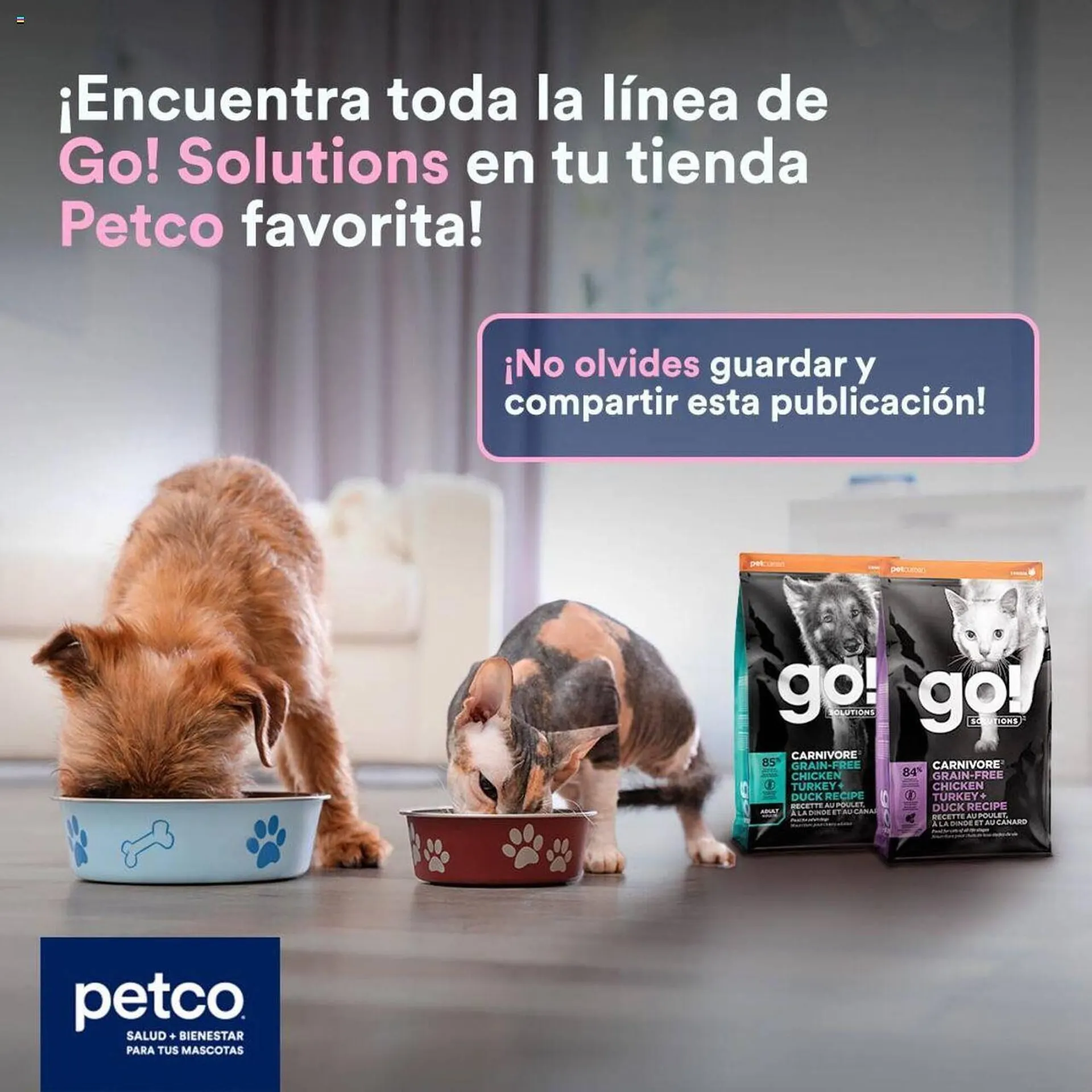 Catálogo de Catálogo Petco 9 de septiembre al 22 de septiembre 2024 - Pagina 5