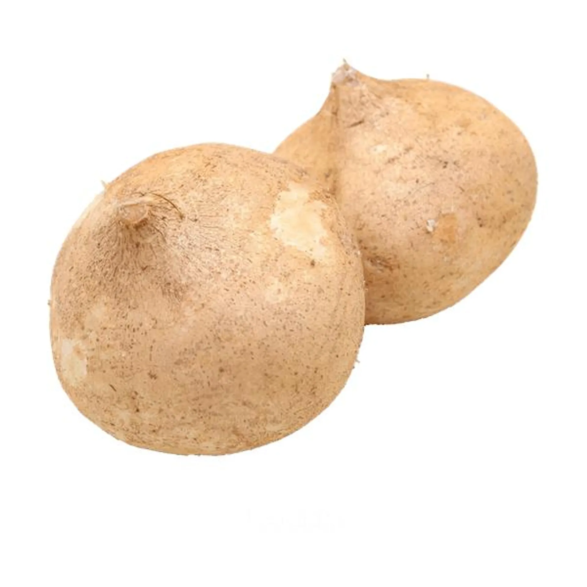 Jicama 1 kg aproximado