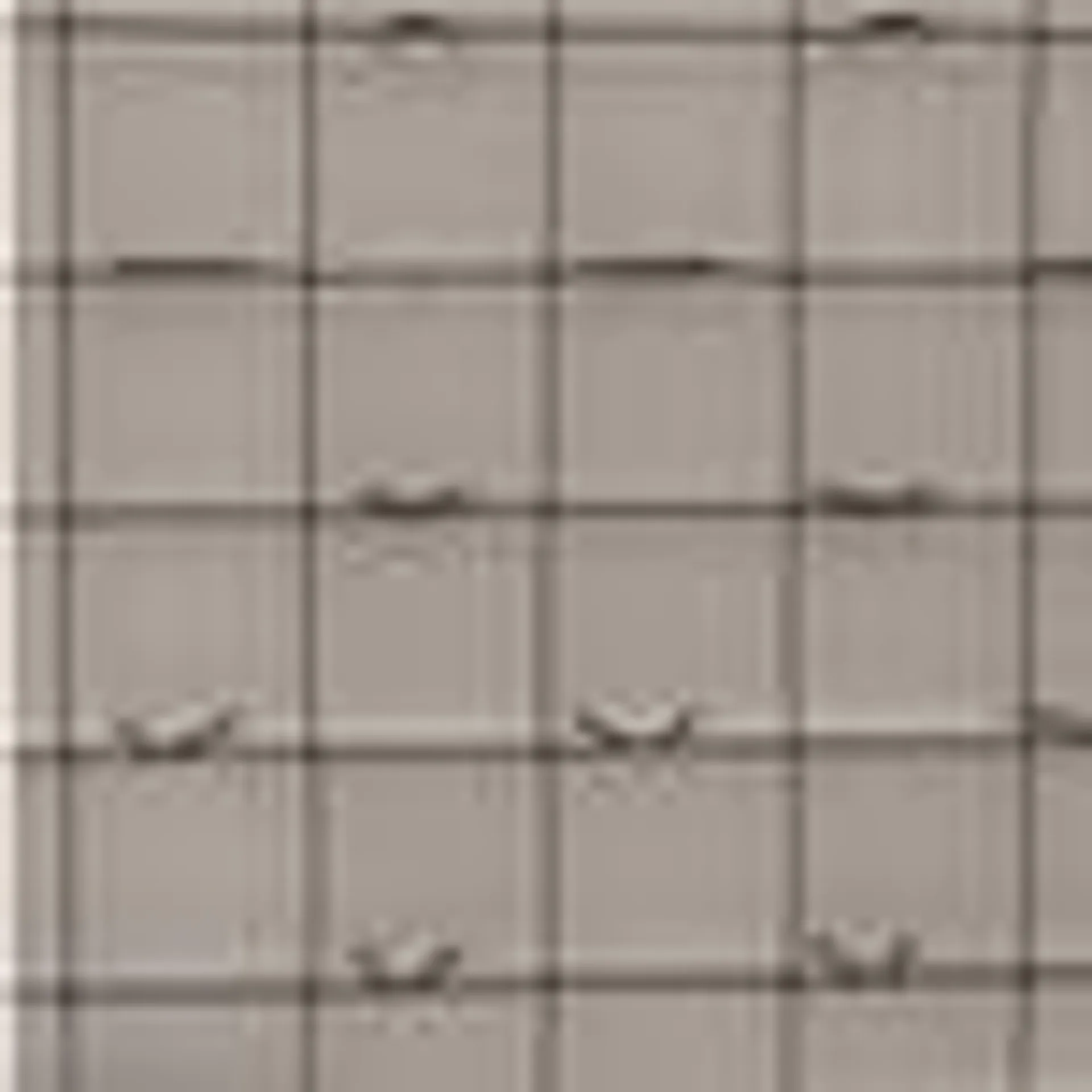 Qualylosa 4" x 1.22 x 3.25 m