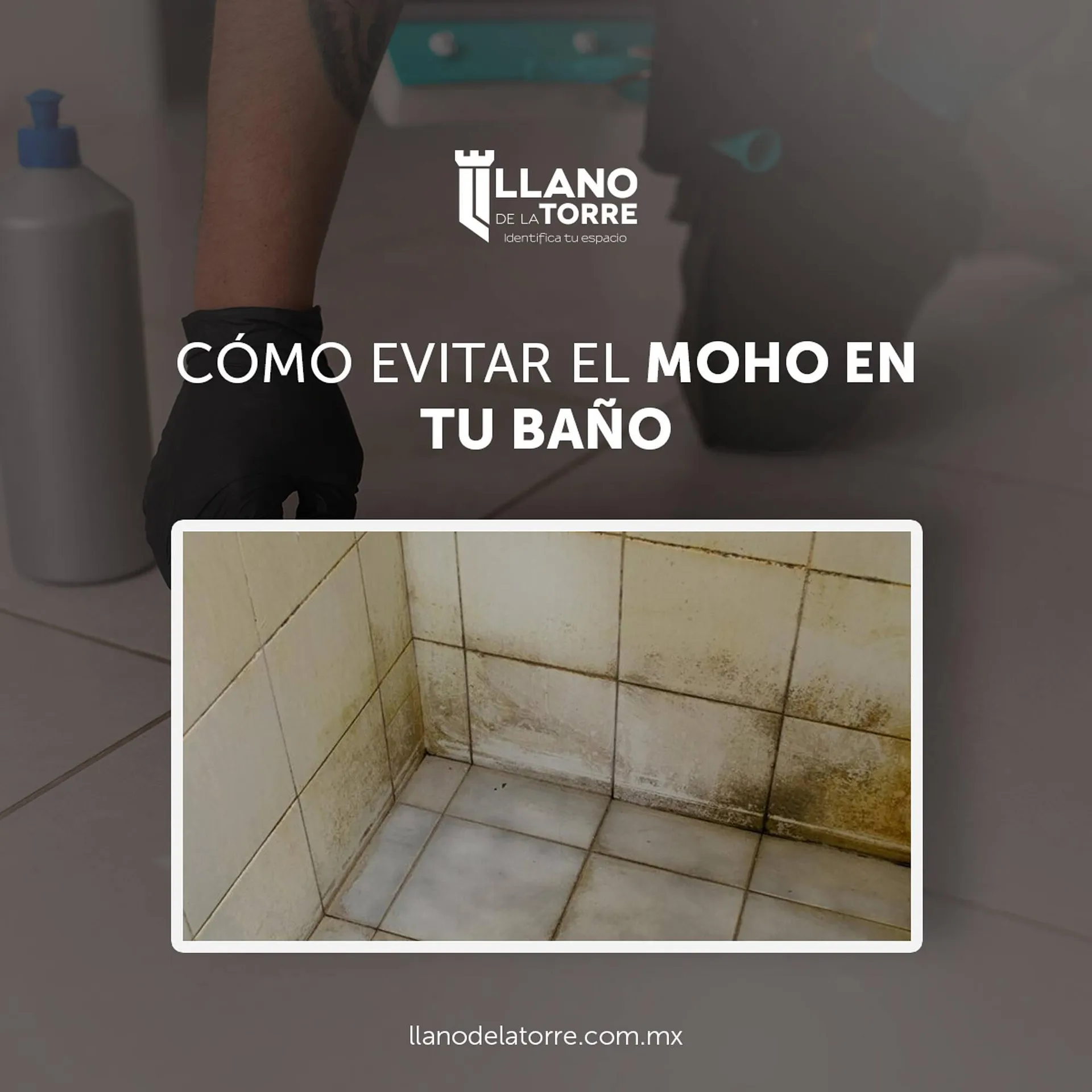 Catálogo Llano de la Torre - 1
