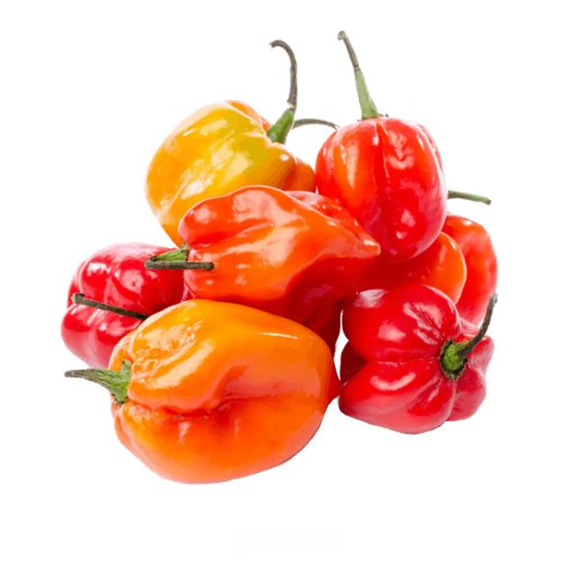 Chile habanero 250 g aproximado