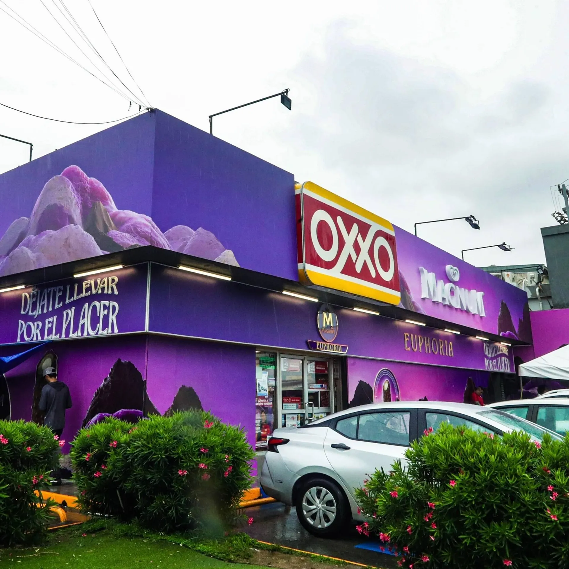 Catálogo OXXO - 1
