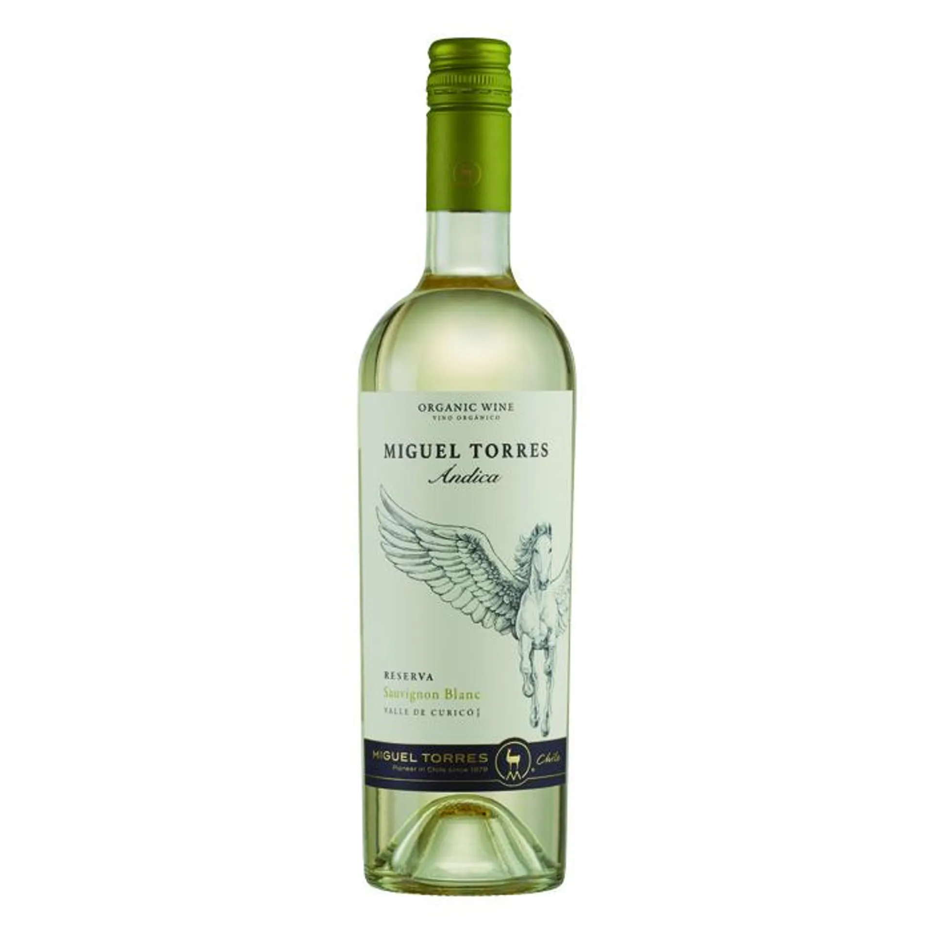 Vino Blanco Miguel Torres Ándica 750 ml