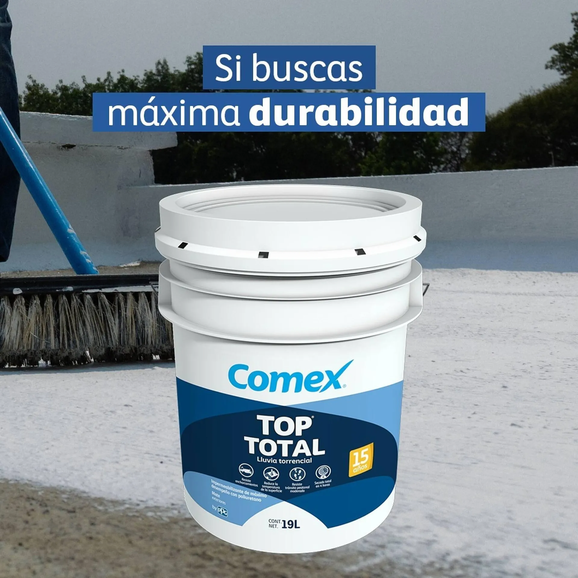 Catálogo Comex - 1