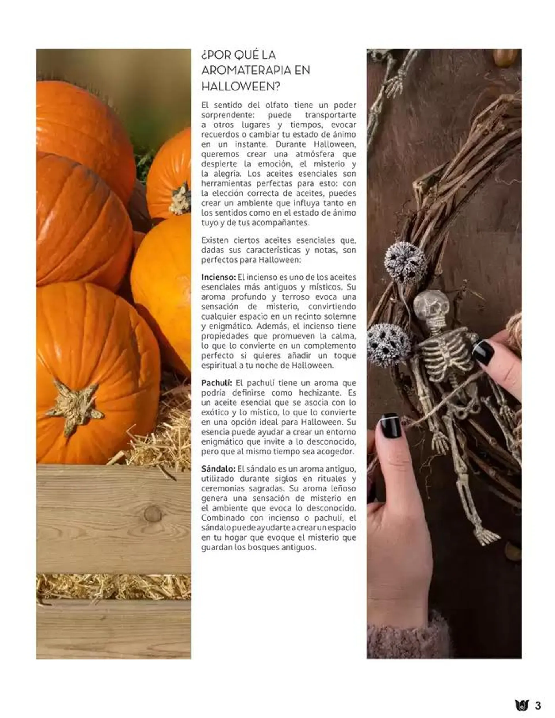 Catálogo de Fraiche Magazine 26 de noviembre al 2 de diciembre 2024 - Pagina 5