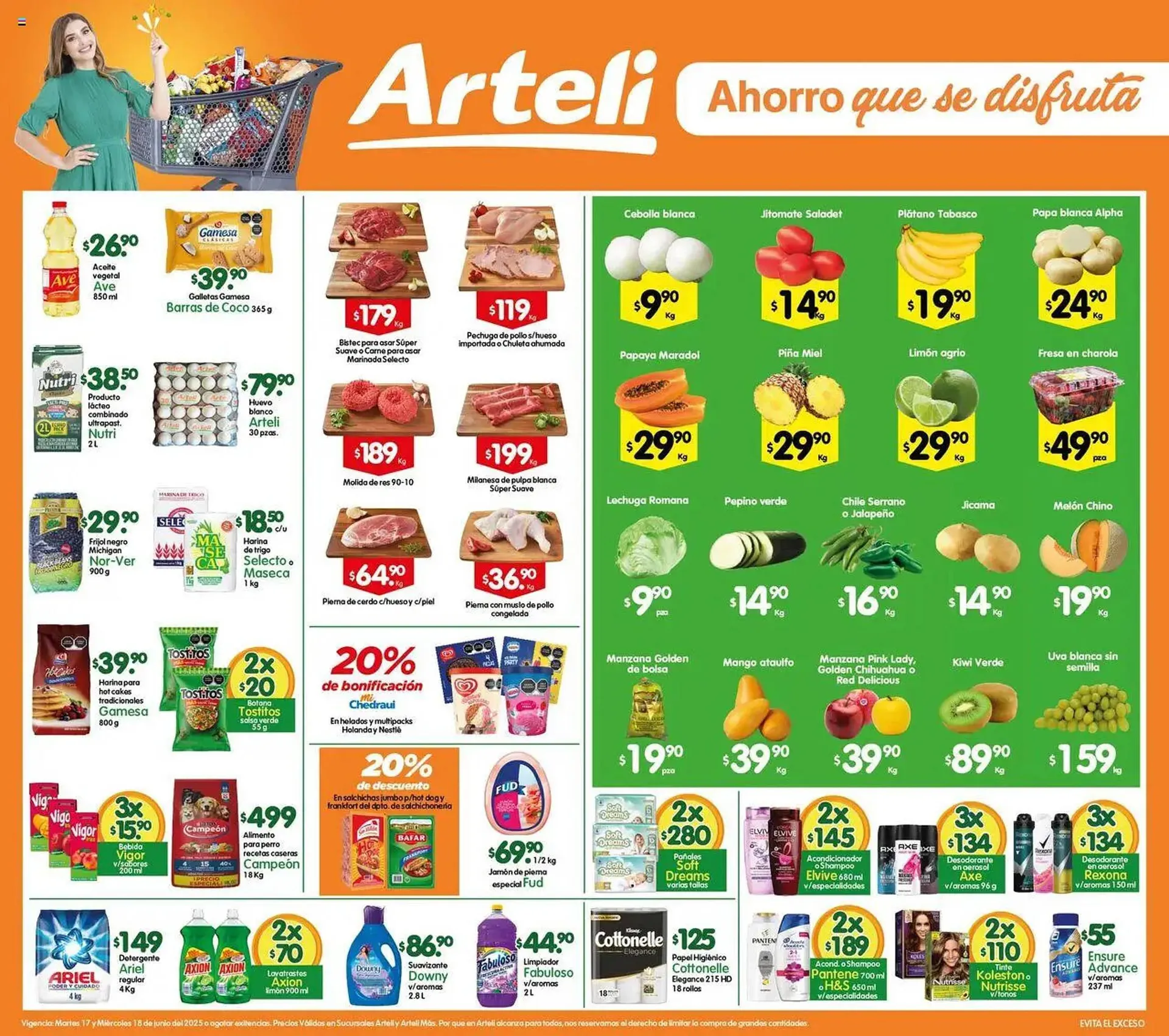 Catálogo Arteli - 1