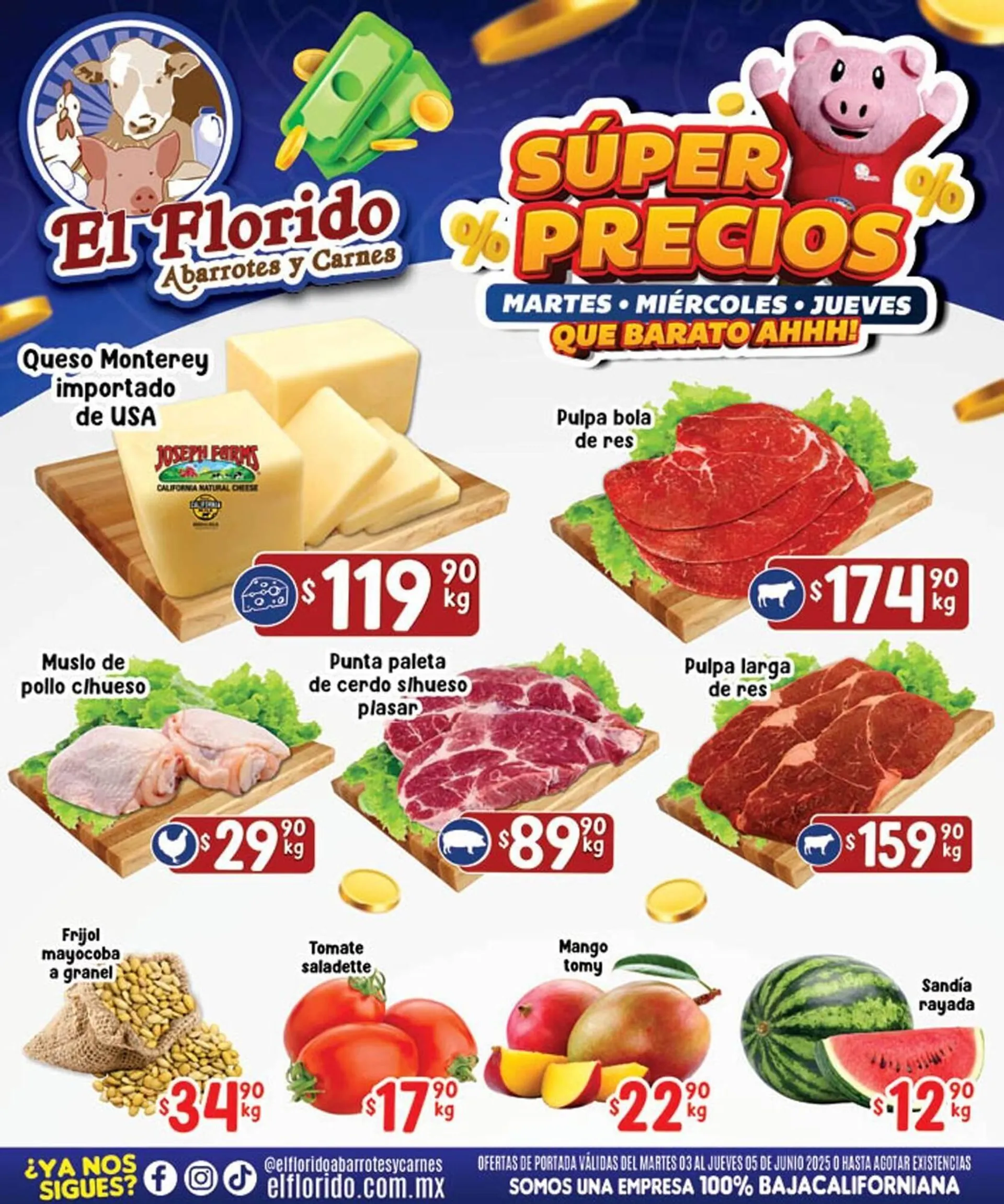 Catálogo El Florido - 1