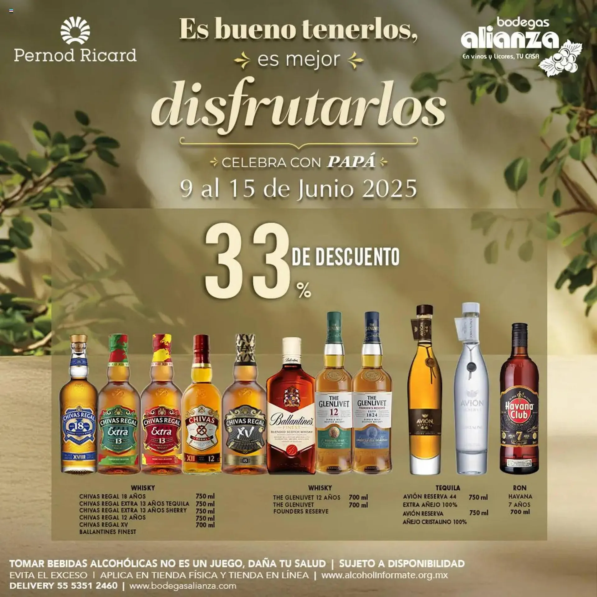 Catálogo Bodegas Alianza - 1