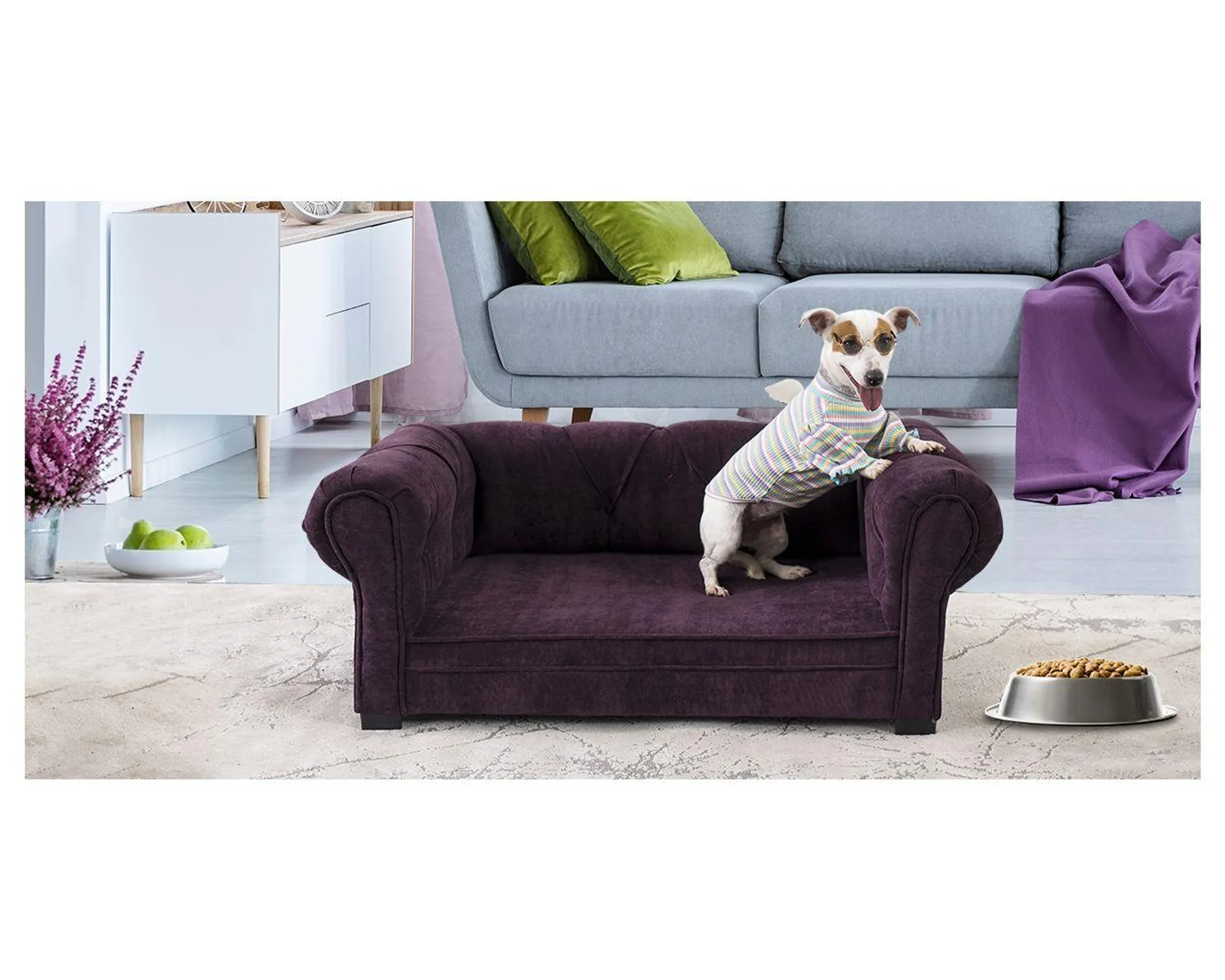 Cama Para Mascota Pet New Cantabria Morado