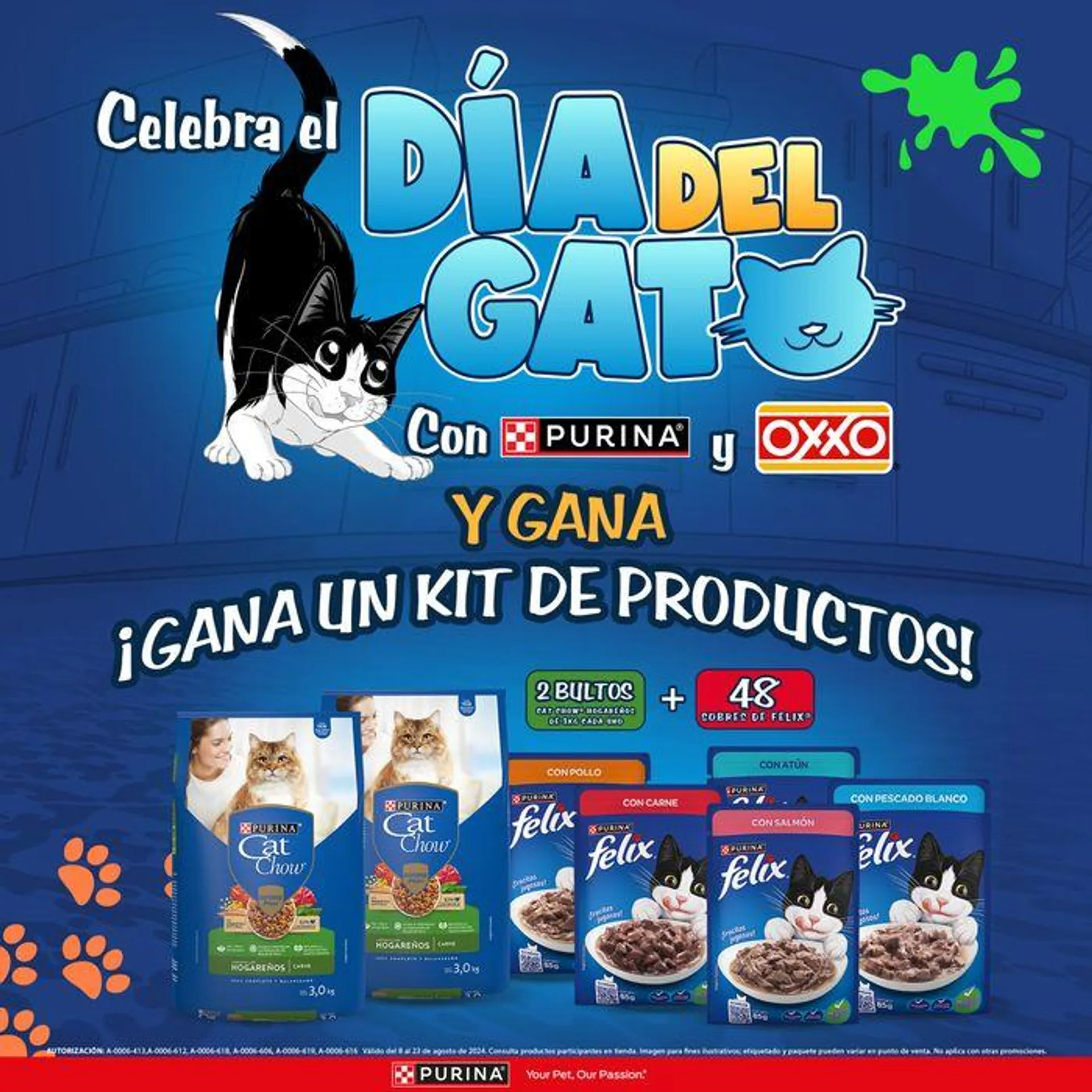 Día del gato - 1