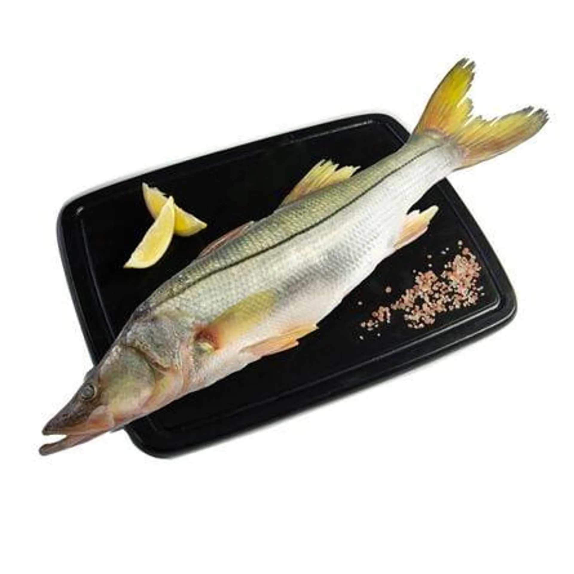 Róbalo Fresco Entero Kg