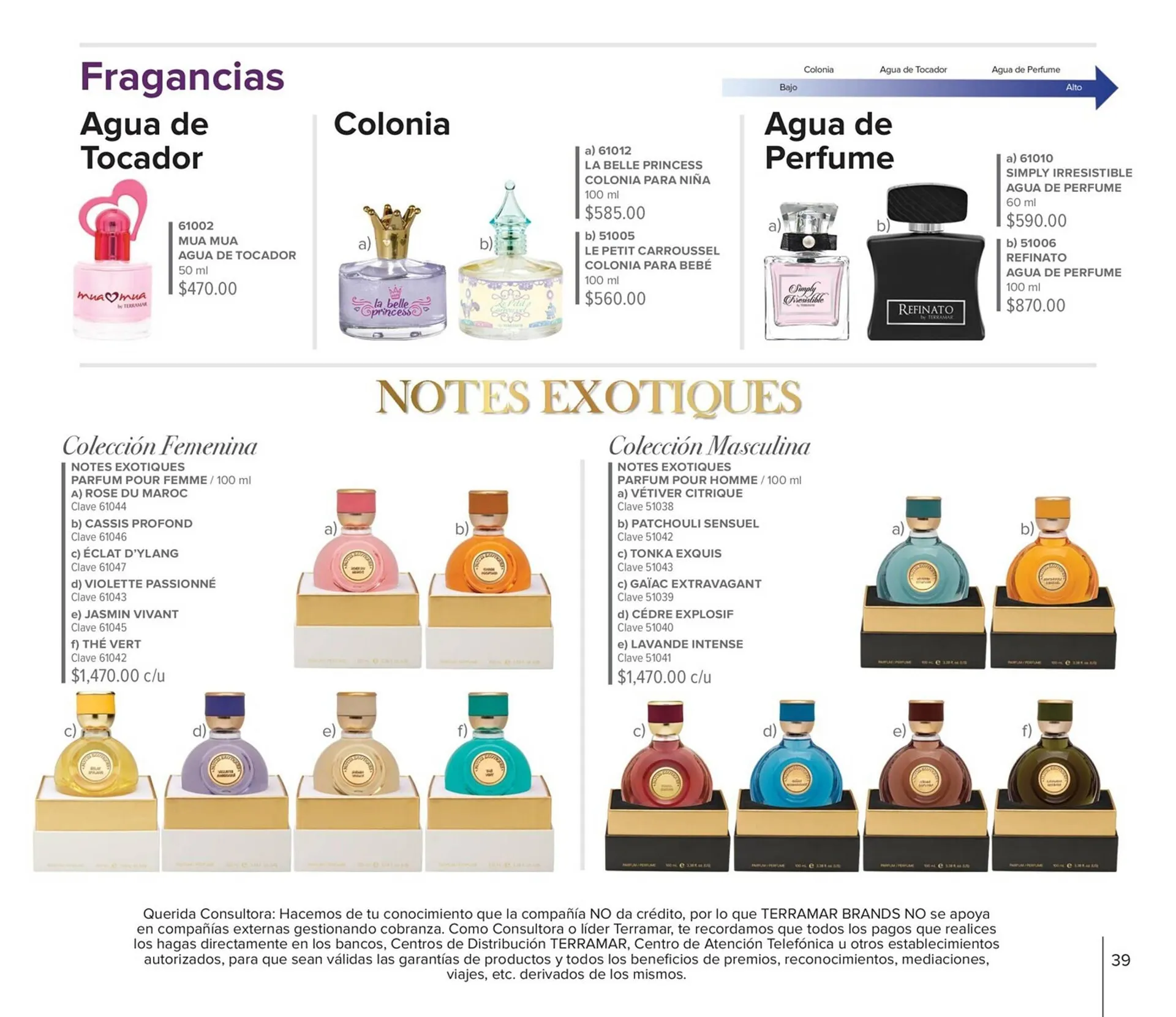 Catálogo de Catálogo Terramar Brands 2 de agosto al 31 de agosto 2023 - Pagina 39