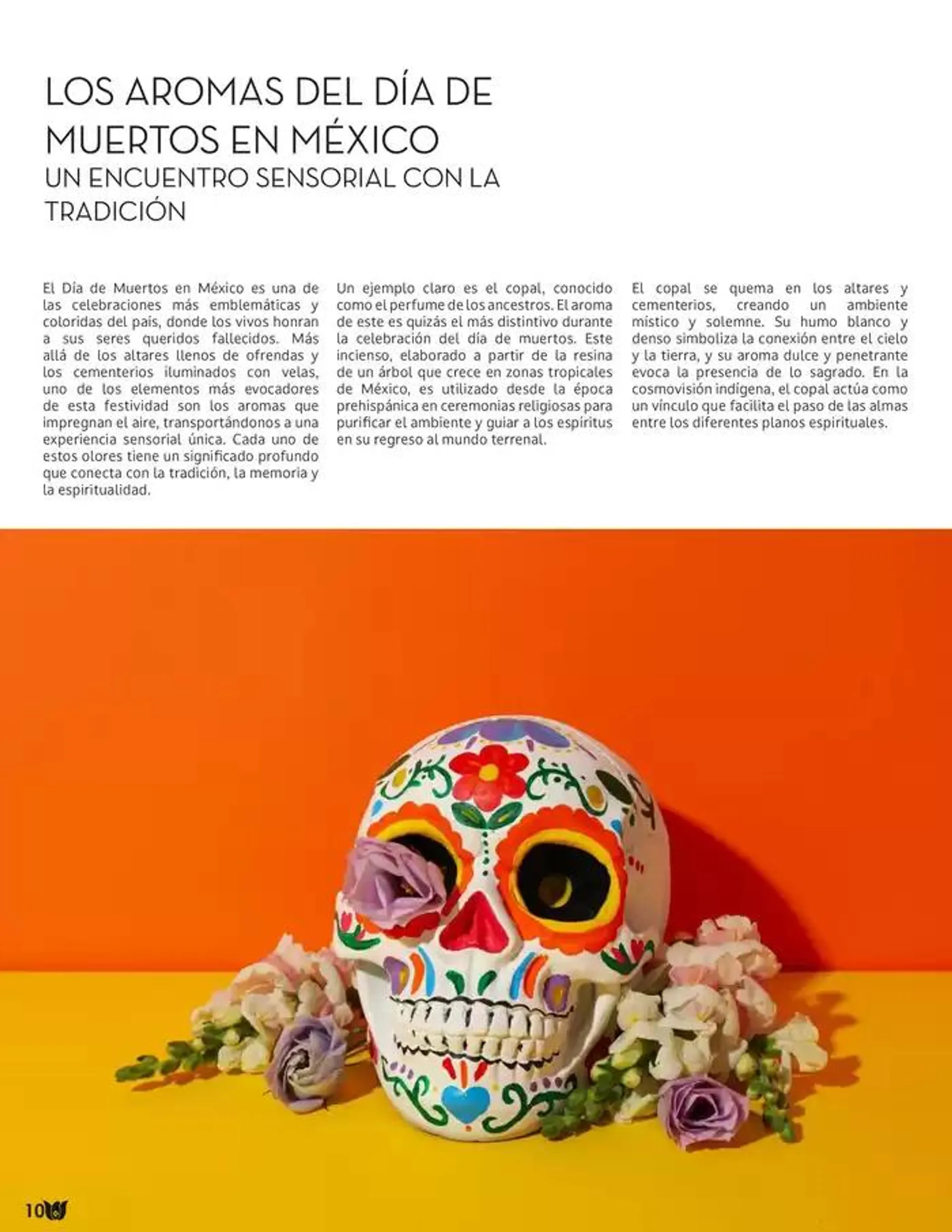 Catálogo de Fraiche Magazine 26 de noviembre al 2 de diciembre 2024 - Pagina 12