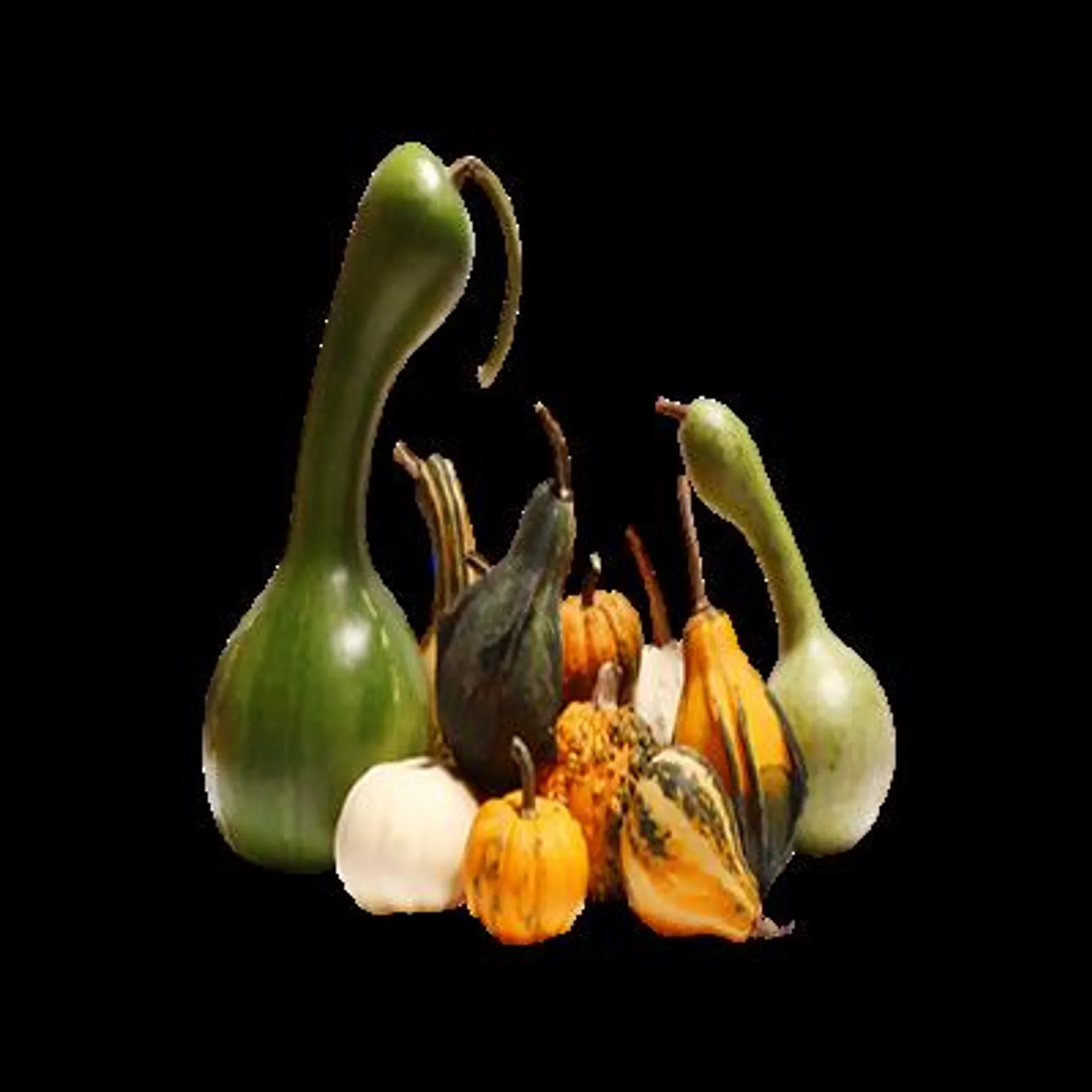 Calabaza Fantasía Por Pieza