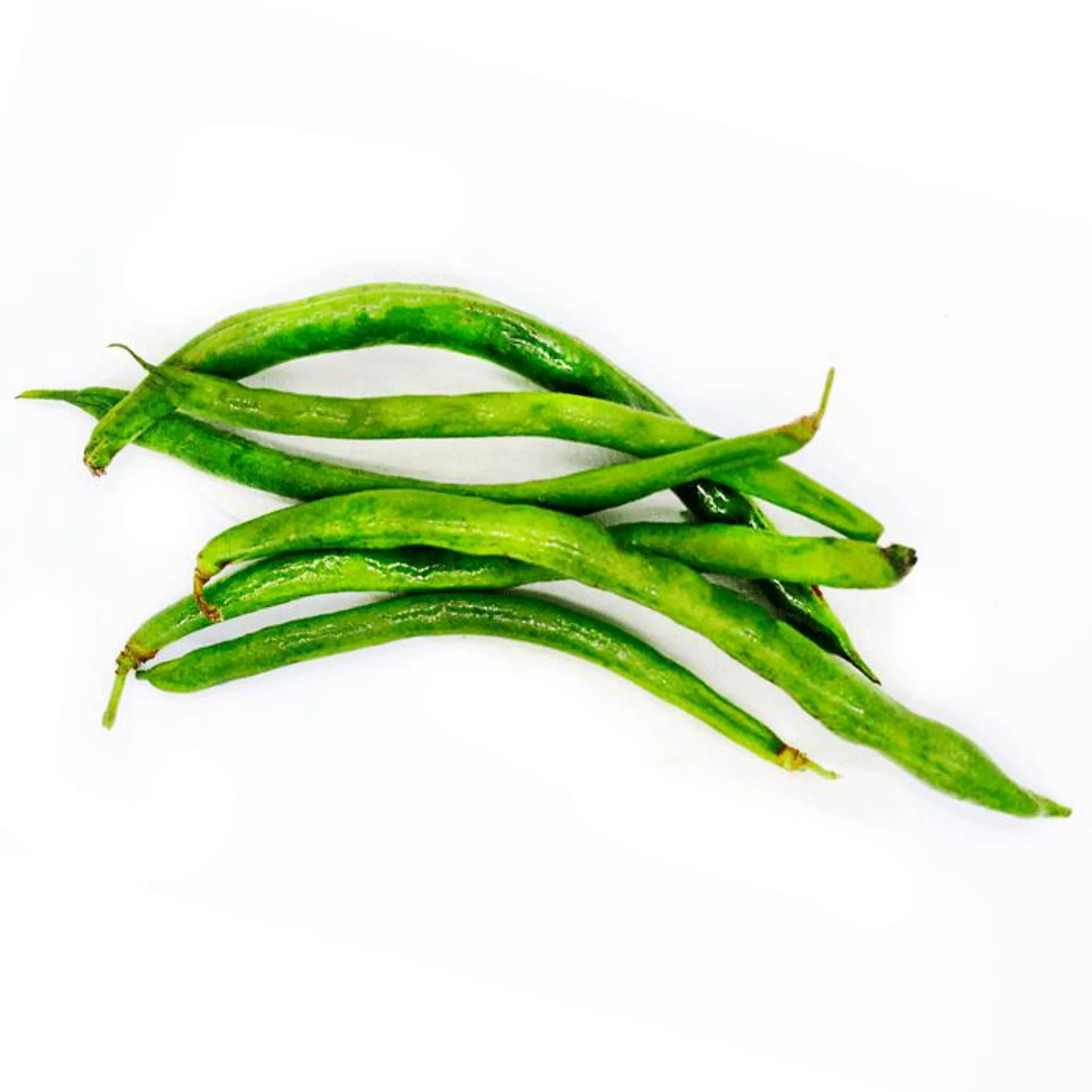 EJOTE