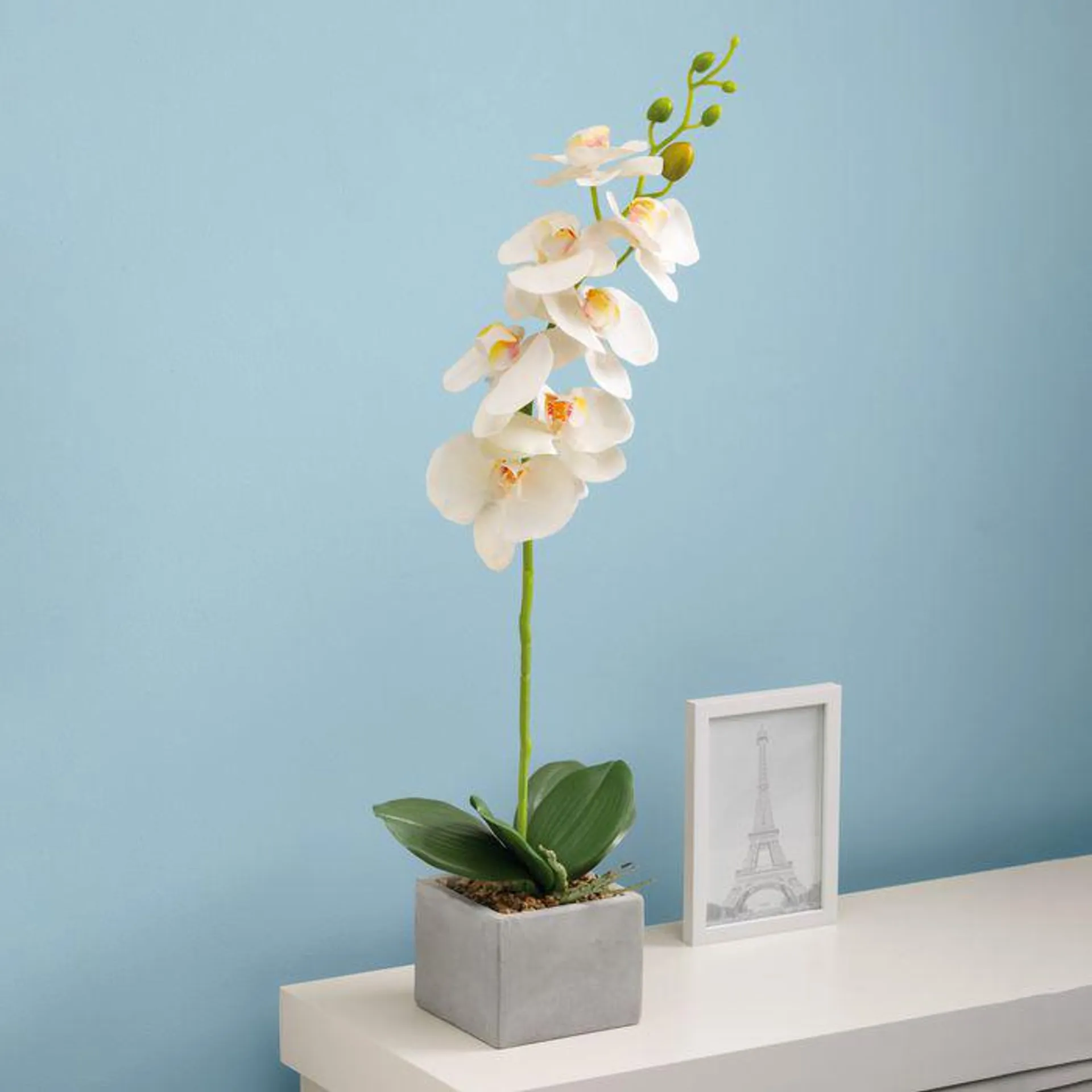 Deco Orquídea
