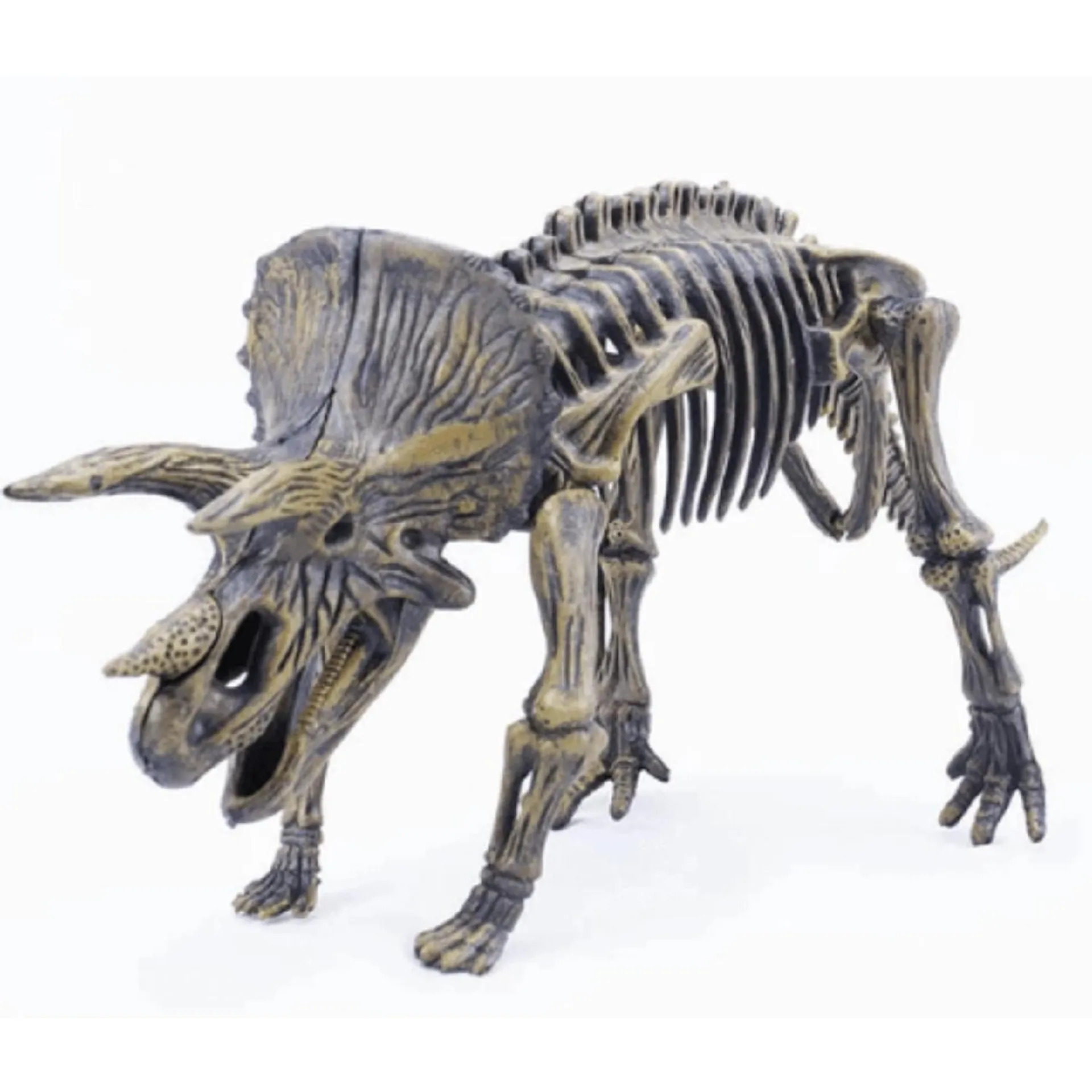Dinohueso Triceratops, juguete armable de dinosaurio